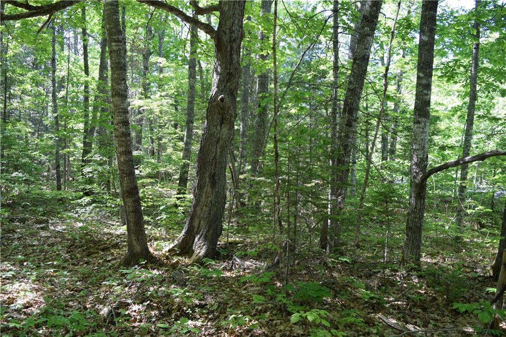 0 Red Bridge Road Ellsworth, ME 04605 - Photo 5 of 7 20181009153920185668000000-o