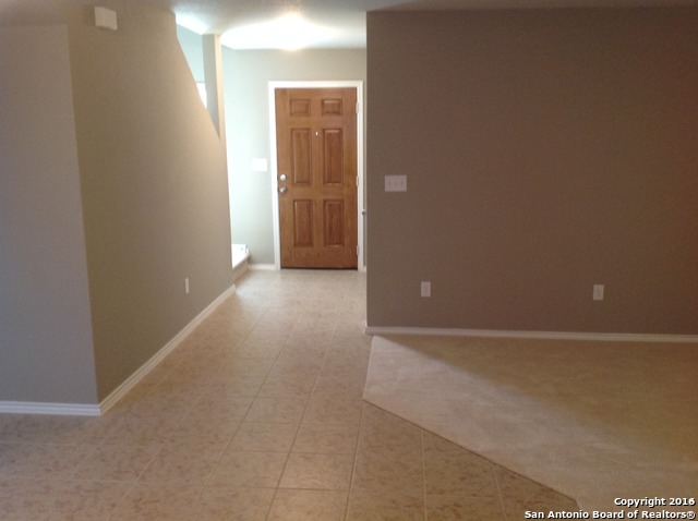 3810 Misty Quail Selma, TX 78154 - Photo 9 of 24