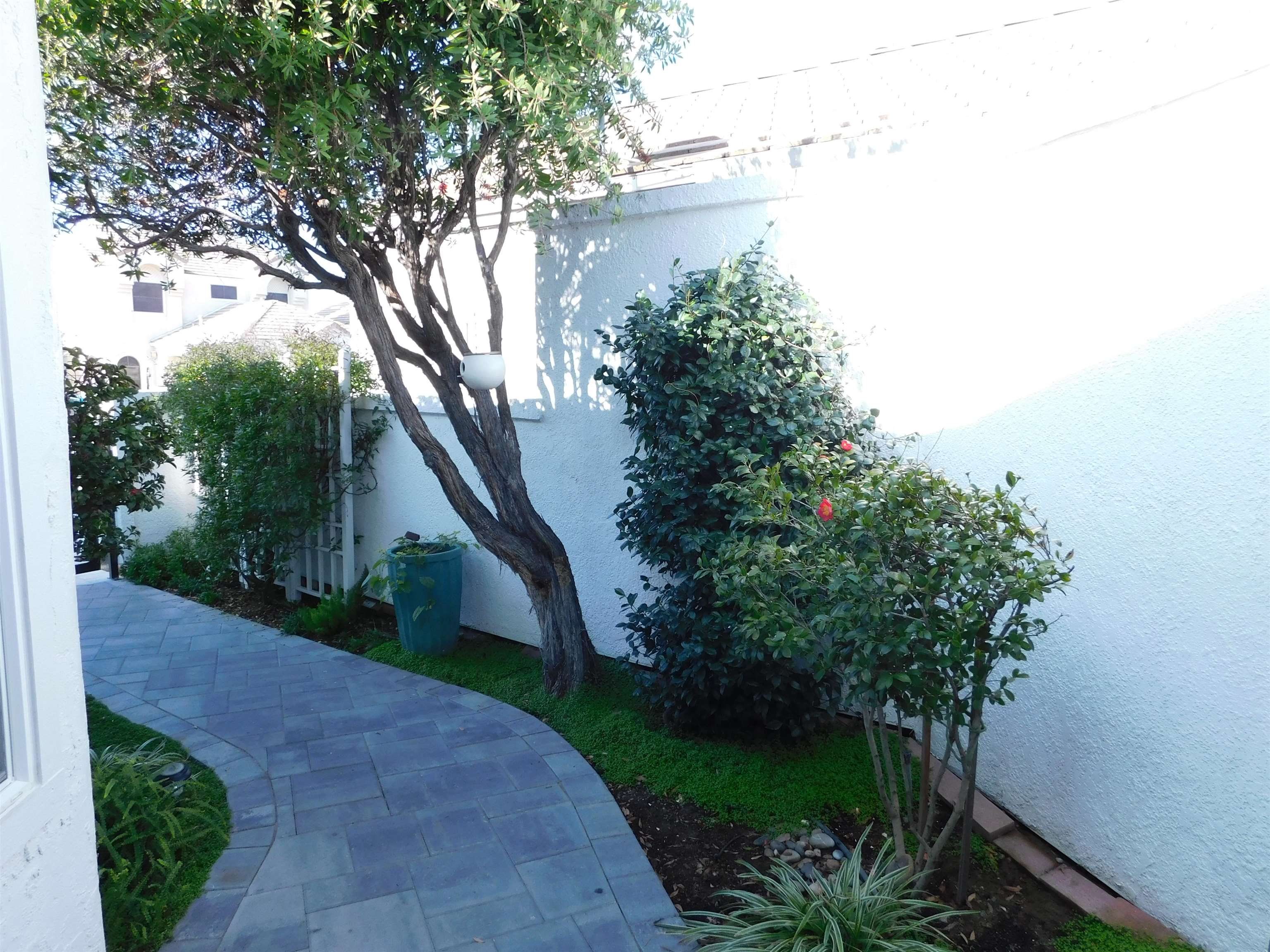 1169 Copper Cottage Lane Modesto, CA 95355 - Photo 4 of 42 a view of a back yard