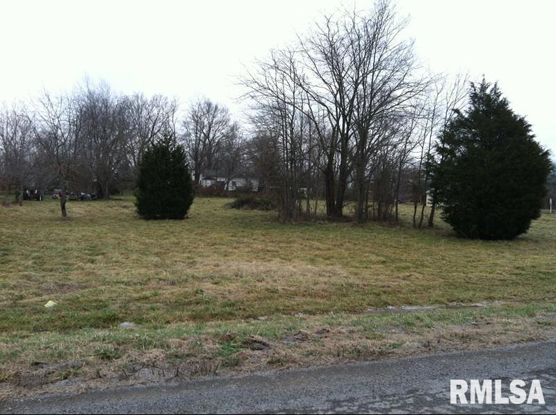 0 Willow Spring Road Marion, IL 62959 - Photo 2 of 2 Gallery Image 2