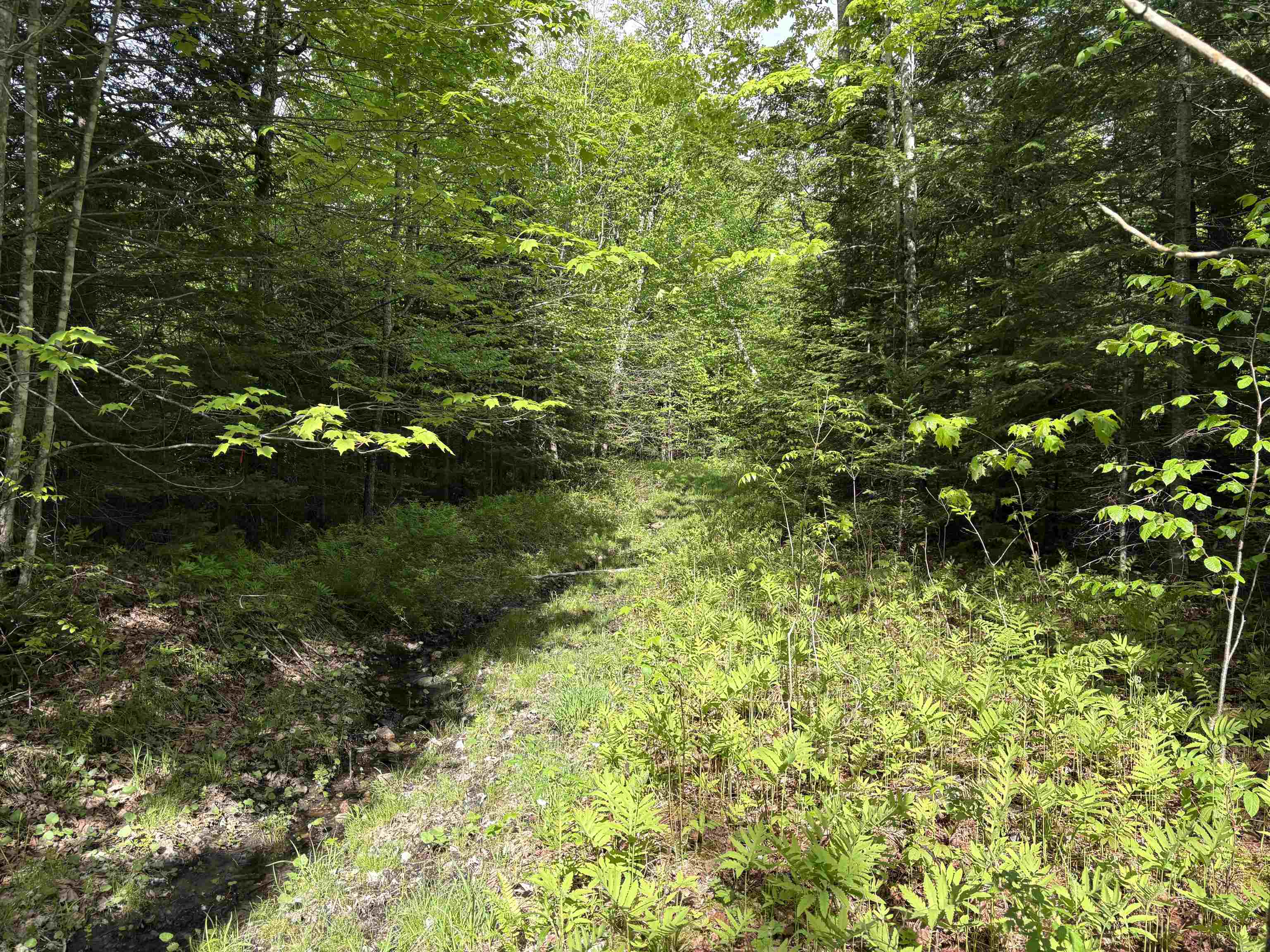 905 Peak Road Wheelock, VT 05851 - Photo 24 of 30