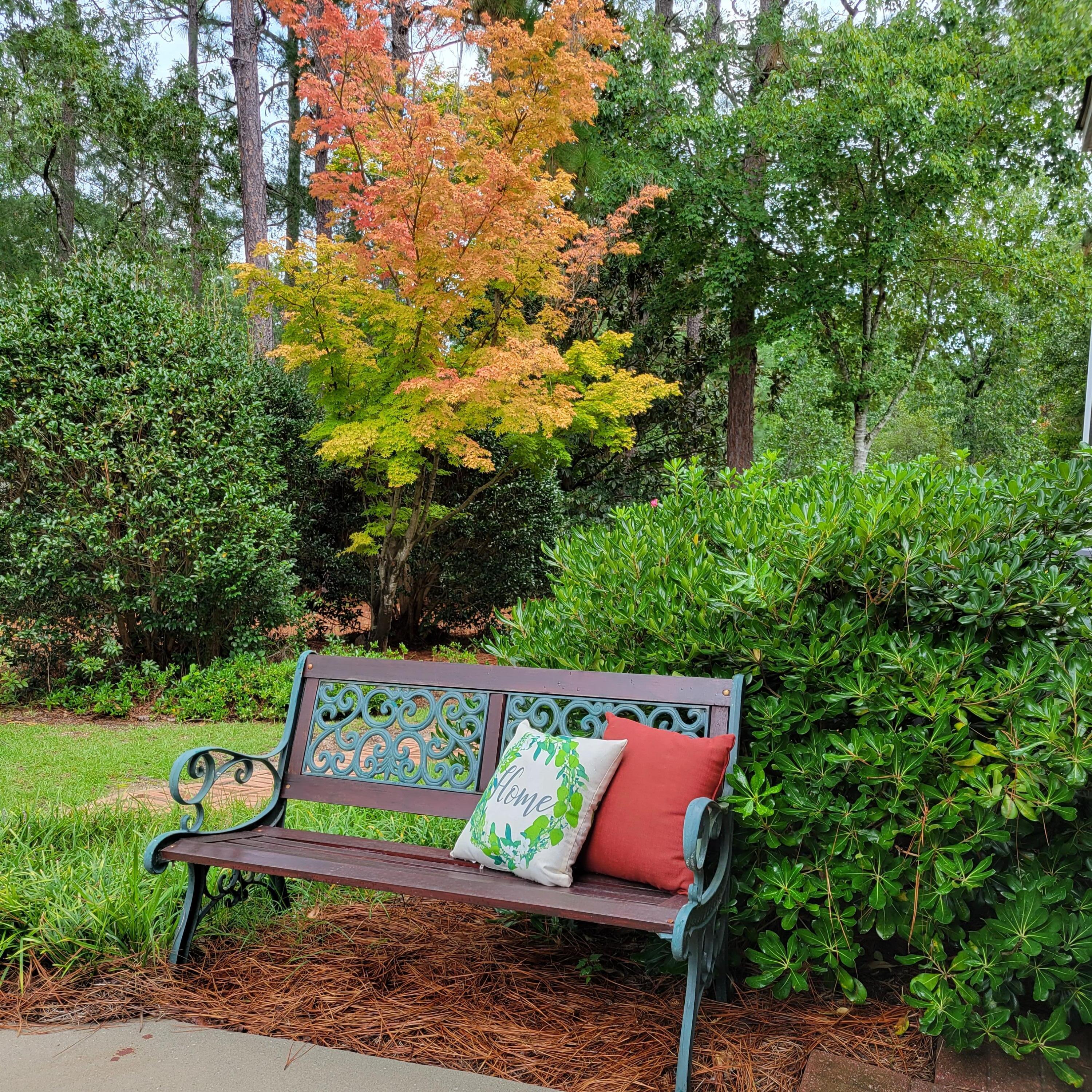 166 Laurel Ridge Circle Aiken, SC 29803 - Photo 60 of 74 20220829_143154