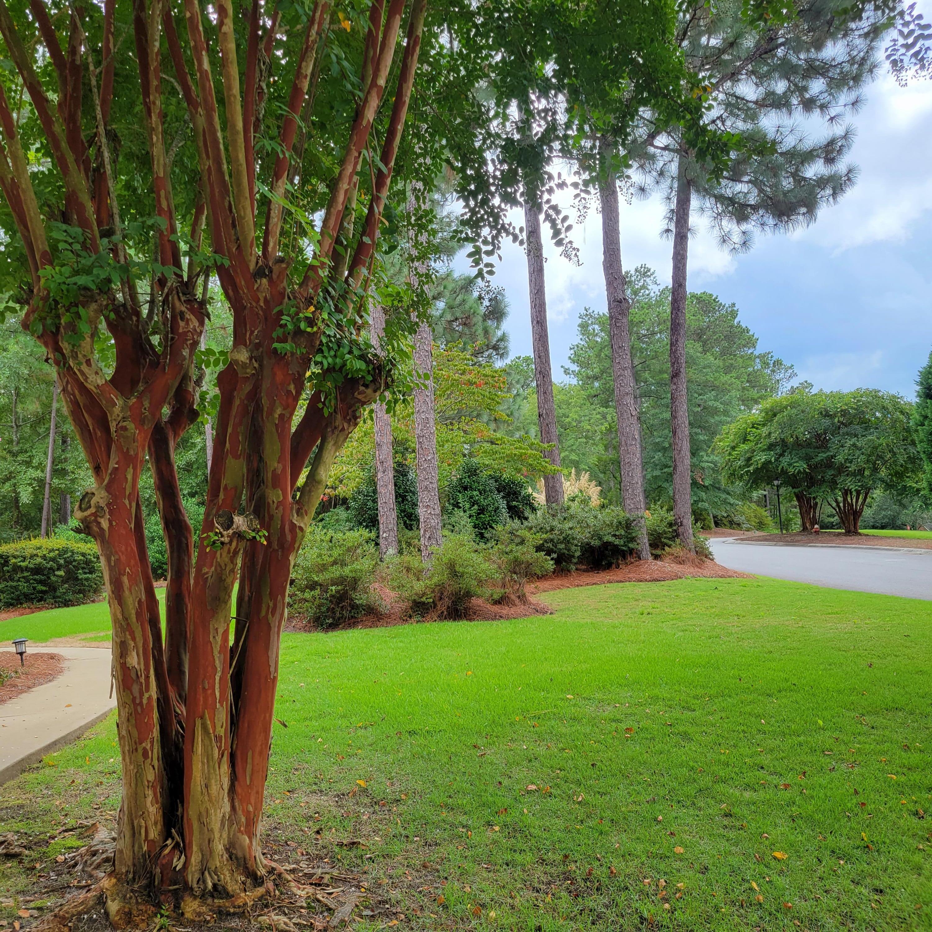 166 Laurel Ridge Circle Aiken, SC 29803 - Photo 6 of 74 20220829_143247