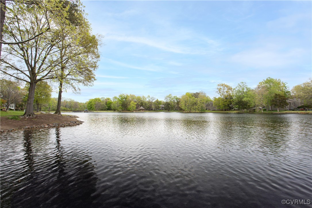 2706 Berkeley Pointe Drive Henrico, VA 23233 - Photo 45 of 48