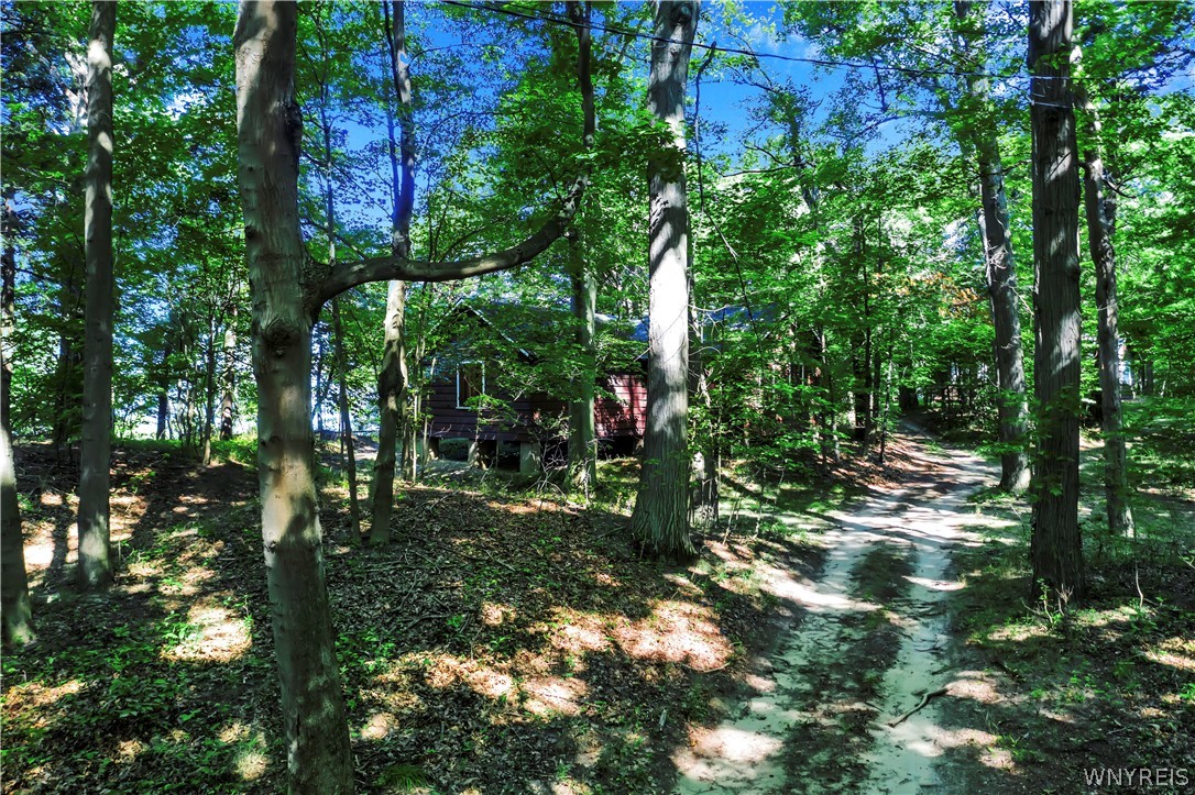 8462 Lake Shore Road Evans, NY 14006 - Photo 21 of 34
