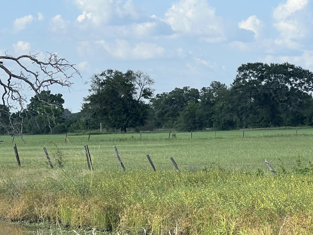 15130 Fm 39 Road Bedias, TX 77831 - Photo 23 of 26