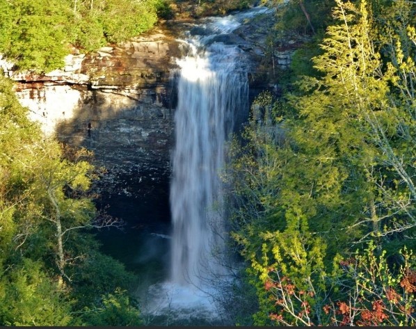 0 Slagtown Road Cowan, TN 37318 - Photo 4 of 5 a backyard of a house with lots of green space and trees all around