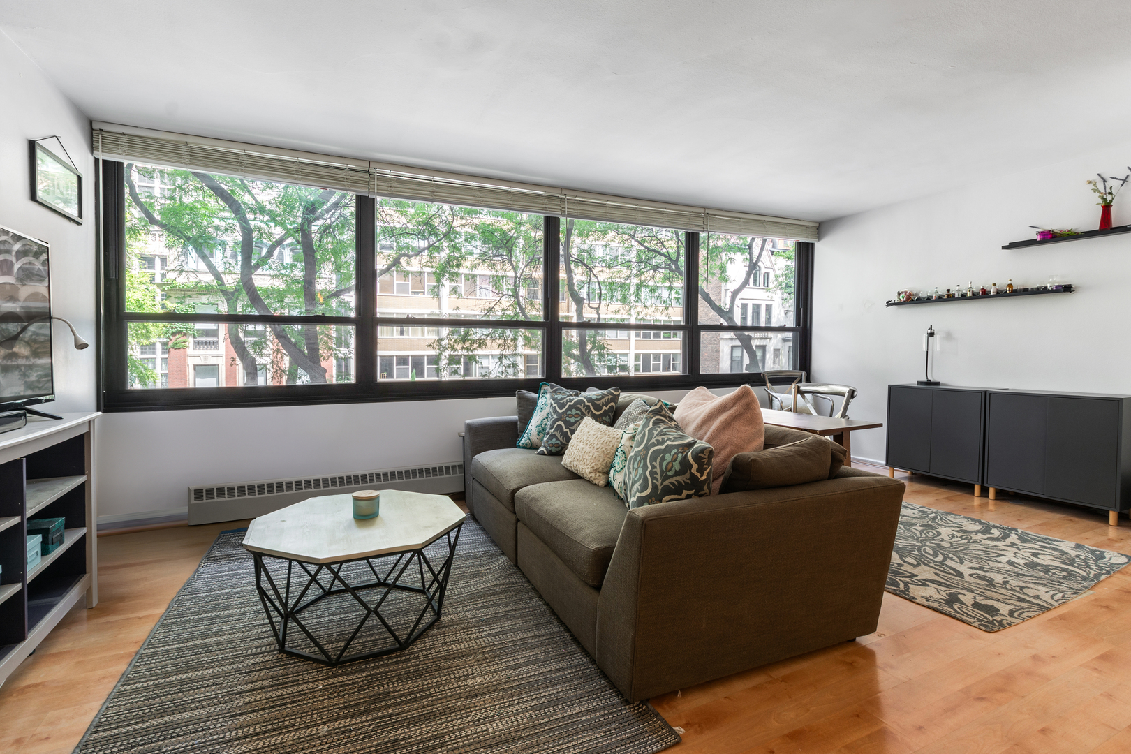 33 East Cedar Street, Unit 3F Chicago, IL 60611 - Photo 2 of 21