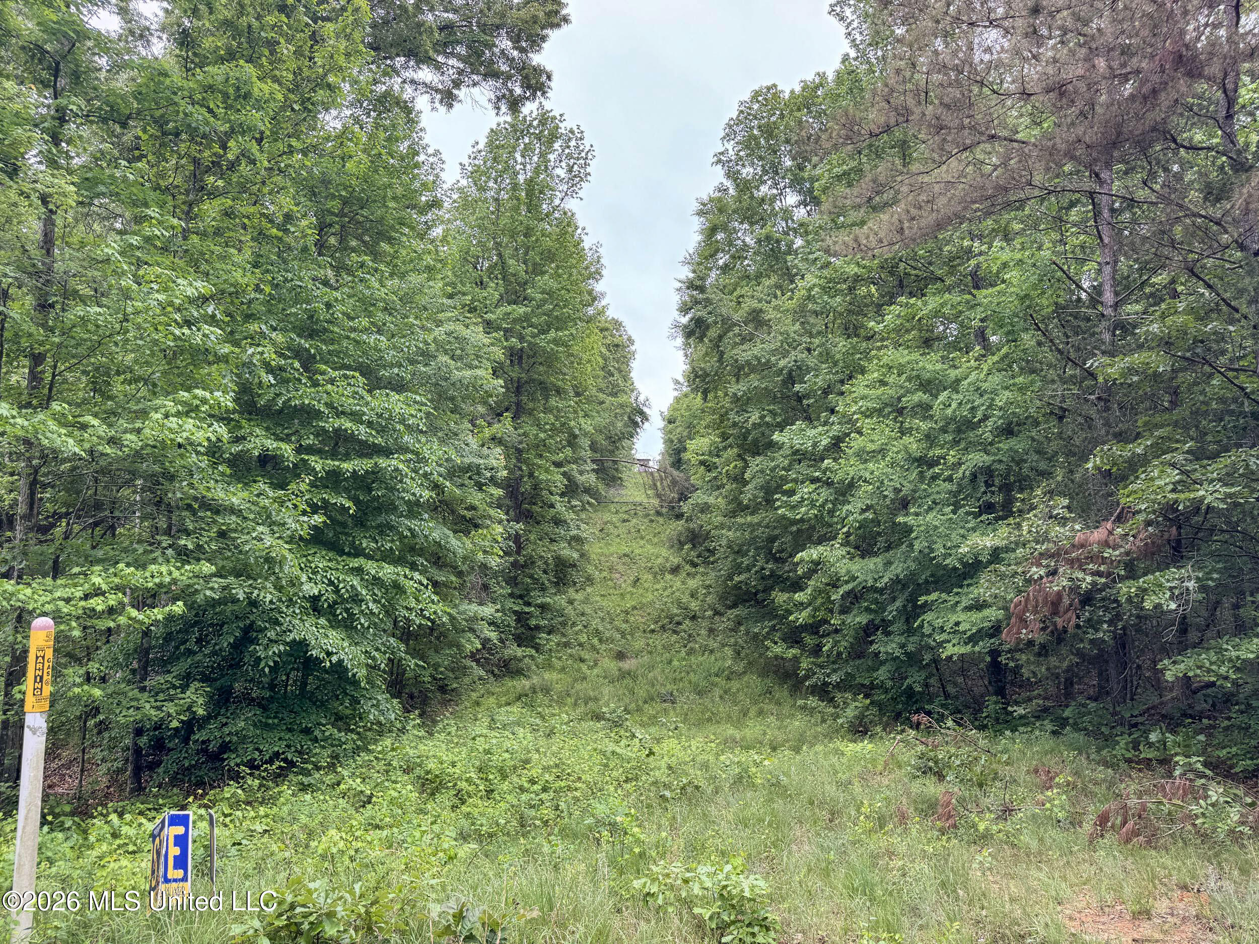 Wayne Massie Road Como, MS 38619 - Photo 114 of 184 5cdtbs48