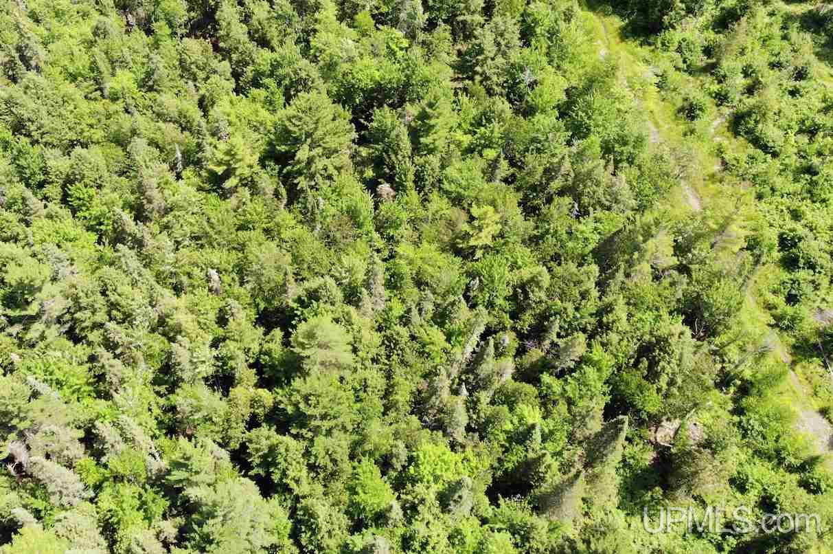 Tbd Upper Massie Road Chassell, MI 49916 - Photo 10 of 12 Gallery Image 10