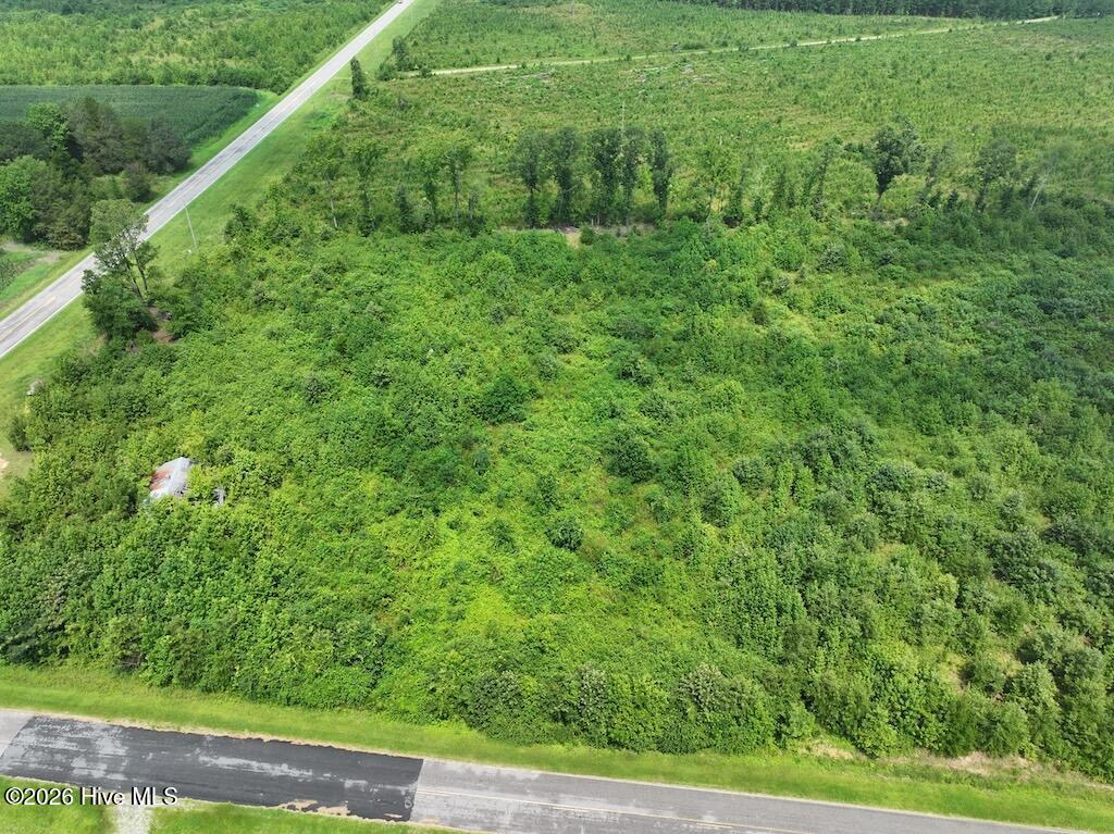 15 Rainbow Road Halifax, NC 27839 - Photo 5 of 23
