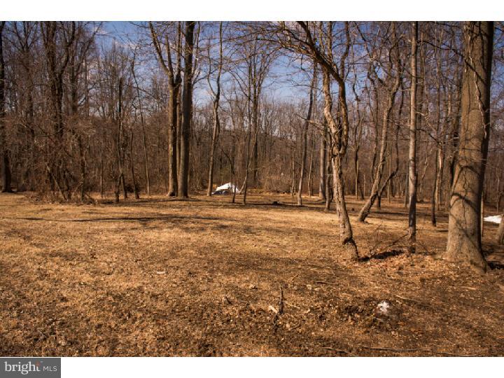 160 Morvale Road Easton, PA 18042 - Photo 23 of 24 Back Yard