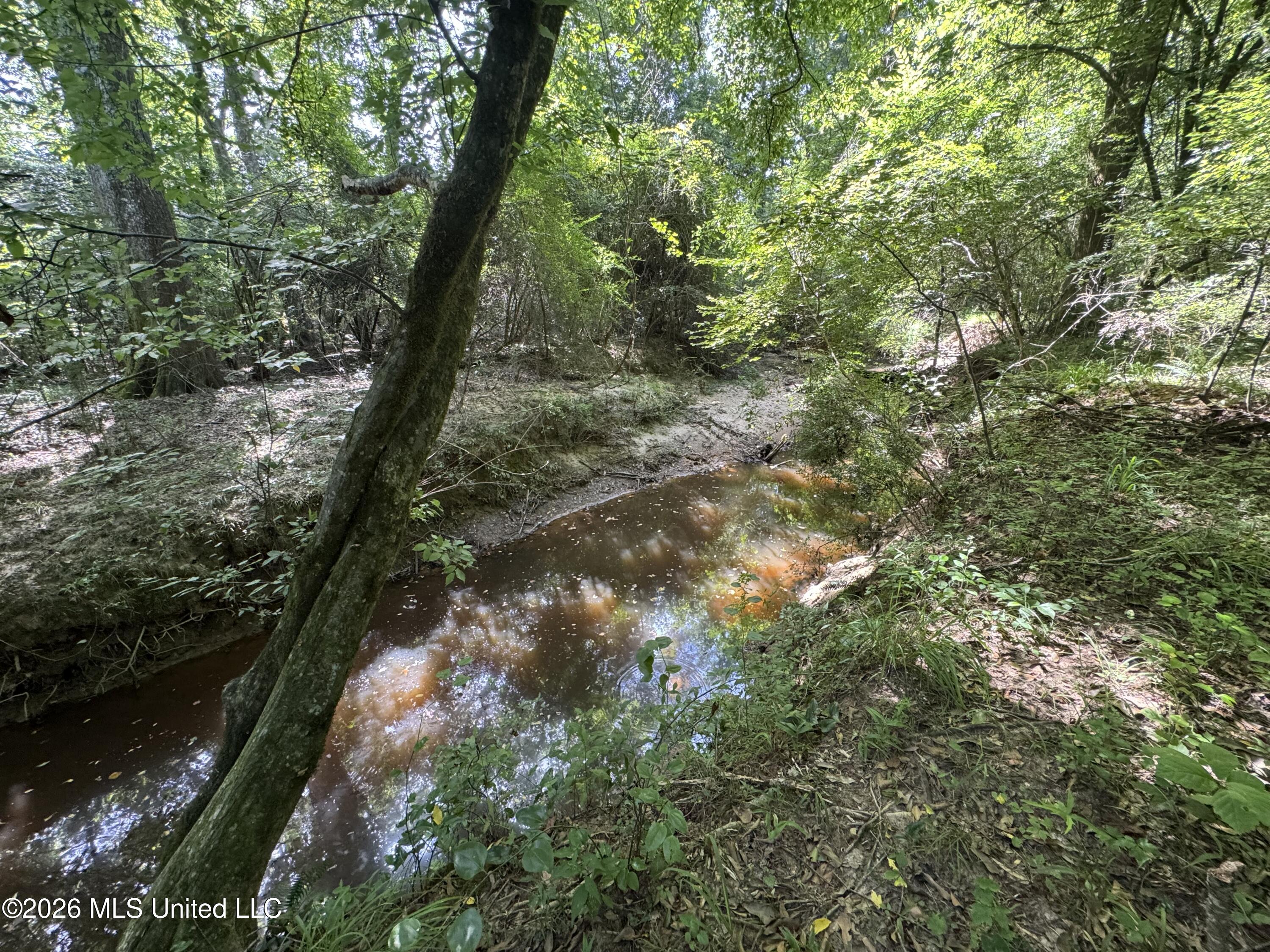 32 A Sauls Road Ruth, MS 39662 - Photo 6 of 22 Land-for-sale-Ruth-MS (4)