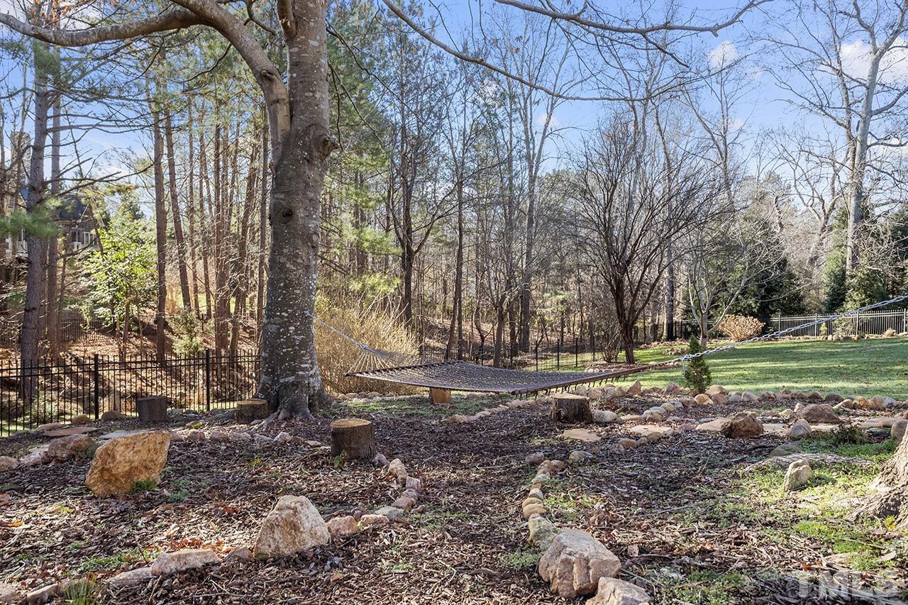 1009 Heydon Court Raleigh, NC 27614 - Photo 68 of 89 Gorgeous yard backs to a privacy buffer.