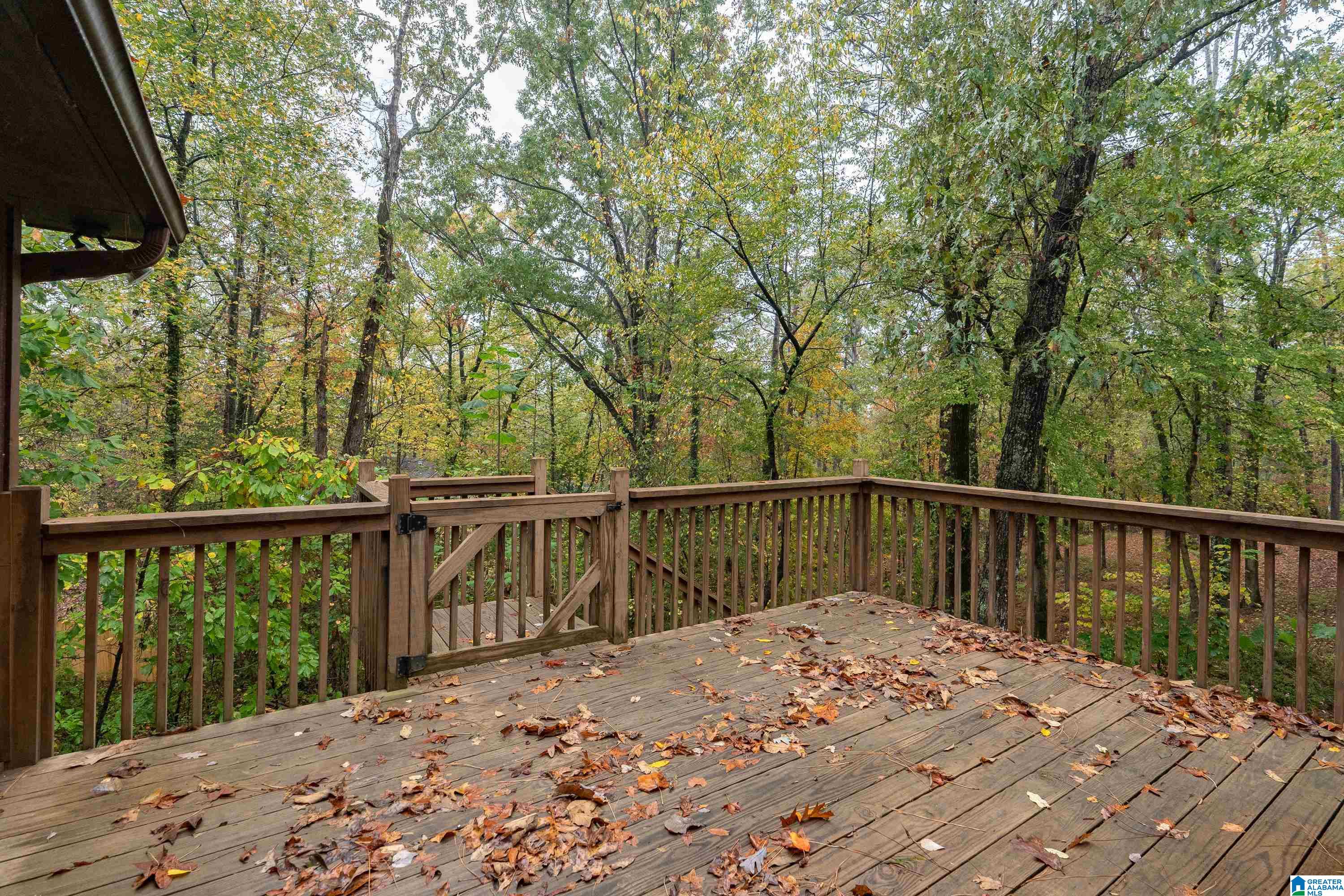 769 Dividing Ridge Drive Birmingham, AL 35244 - Photo 36 of 36