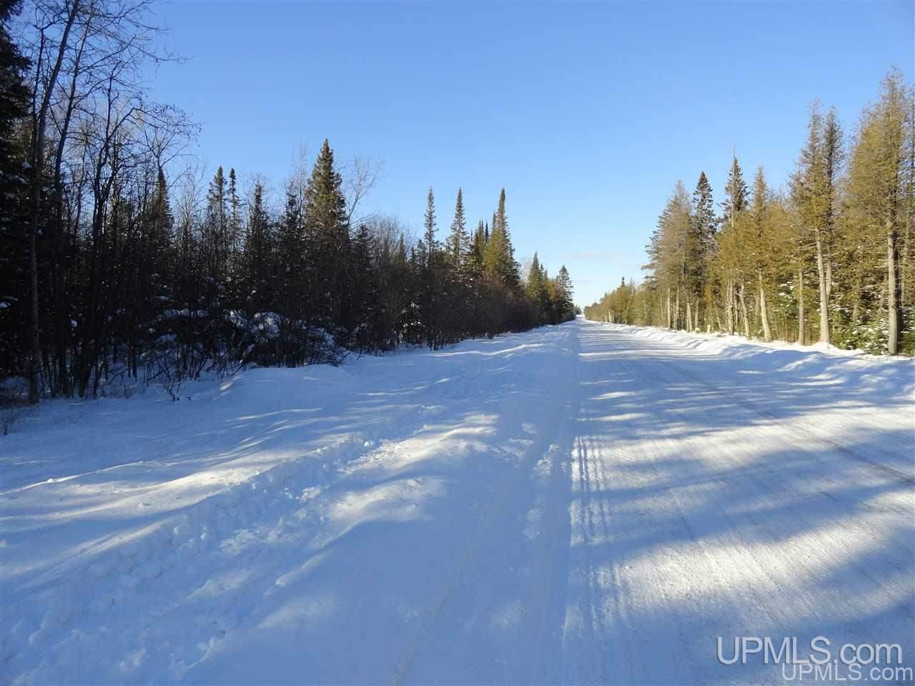 80-acres Co Rd N415 McMillan, MI 49853 - Photo 1 of 36