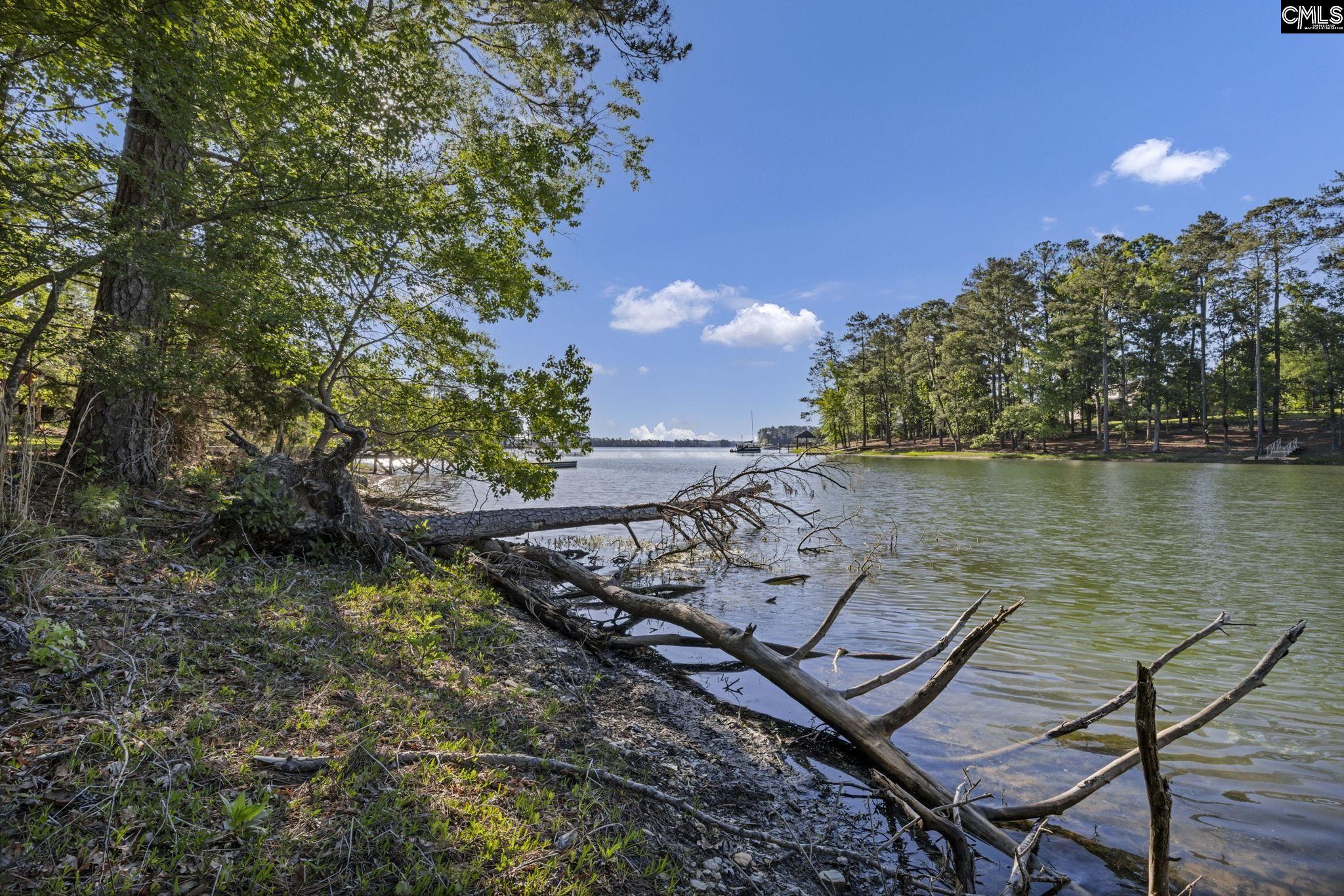 0 Lominack Road Prosperity, SC 29127 - Photo 3 of 19