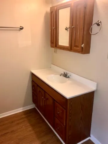 a bathroom with a sink vanity and a mirror