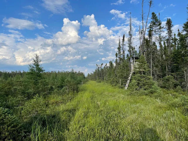 $265,000 | Xxx Traven Road, Makinen, MN 55763