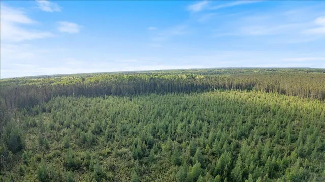 $265,000 | Xxx Traven Road, Makinen, MN 55763