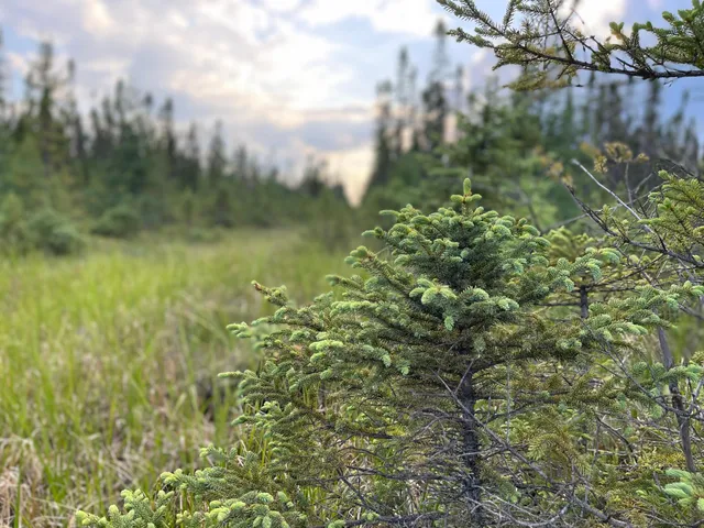 $265,000 | Xxx Traven Road, Makinen, MN 55763