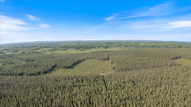 $265,000 | Xxx Traven Road, Makinen, MN 55763