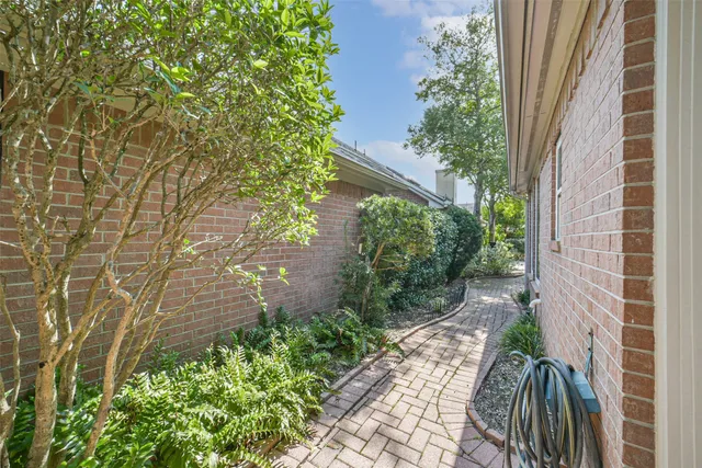 a view of a garden with plants