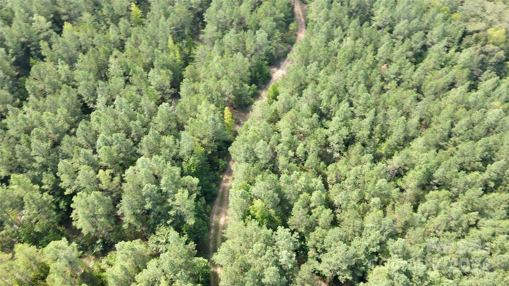 0 Pilgrim Road Gaston, SC 29053 - Photo 11 of 28