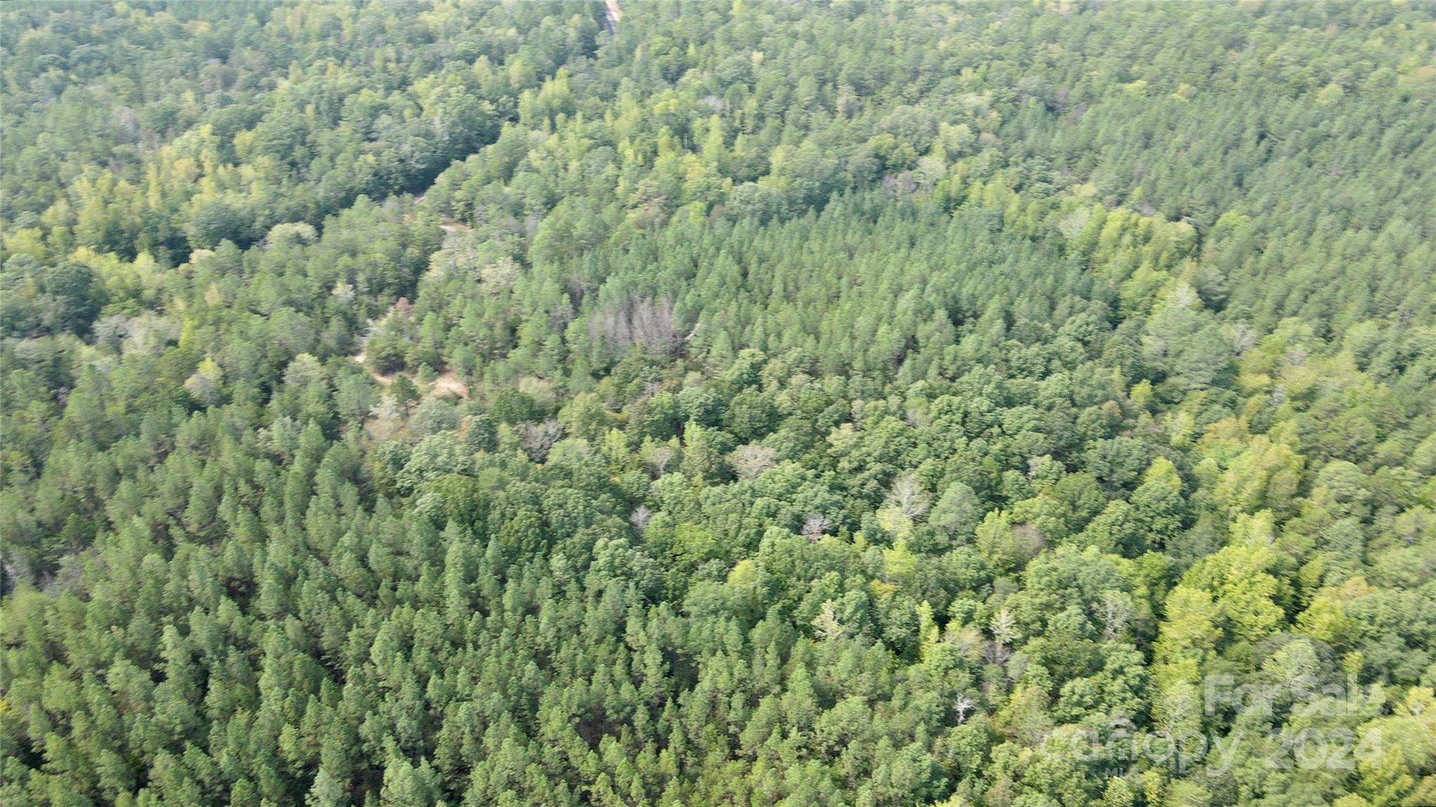 0 Pilgrim Road Gaston, SC 29053 - Photo 12 of 28