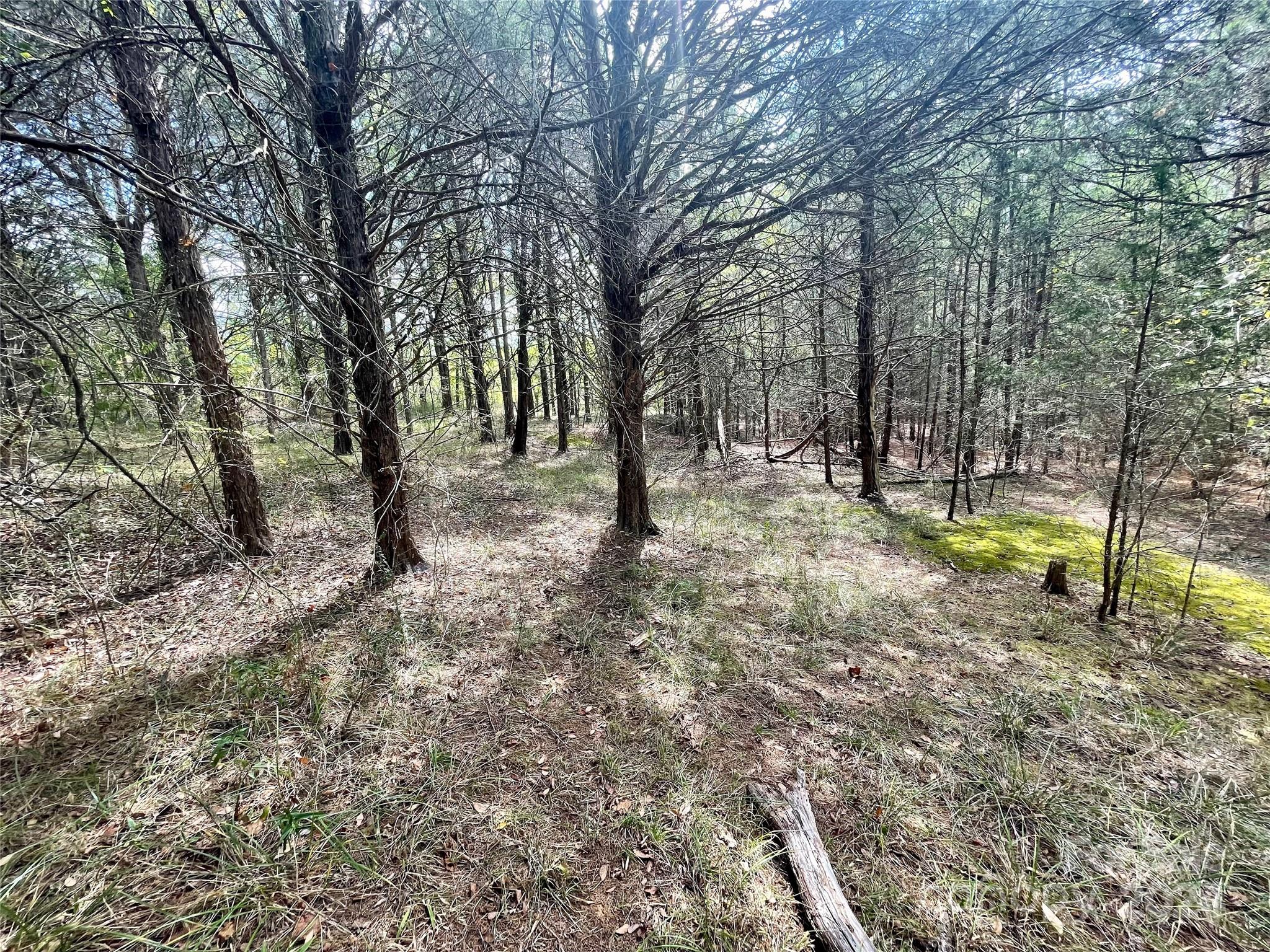 0 Pilgrim Road Gaston, SC 29053 - Photo 14 of 28