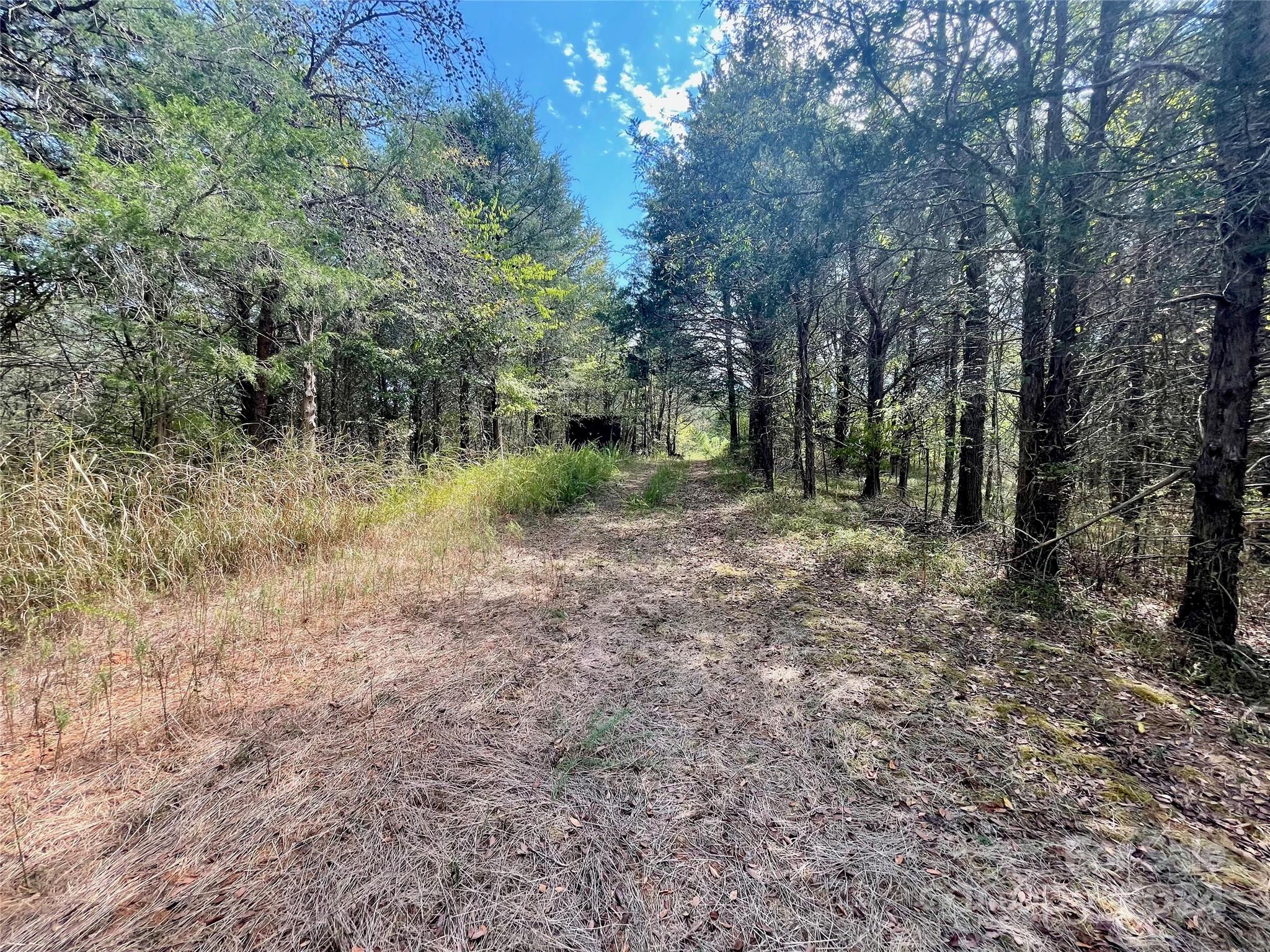 0 Pilgrim Road Gaston, SC 29053 - Photo 15 of 28