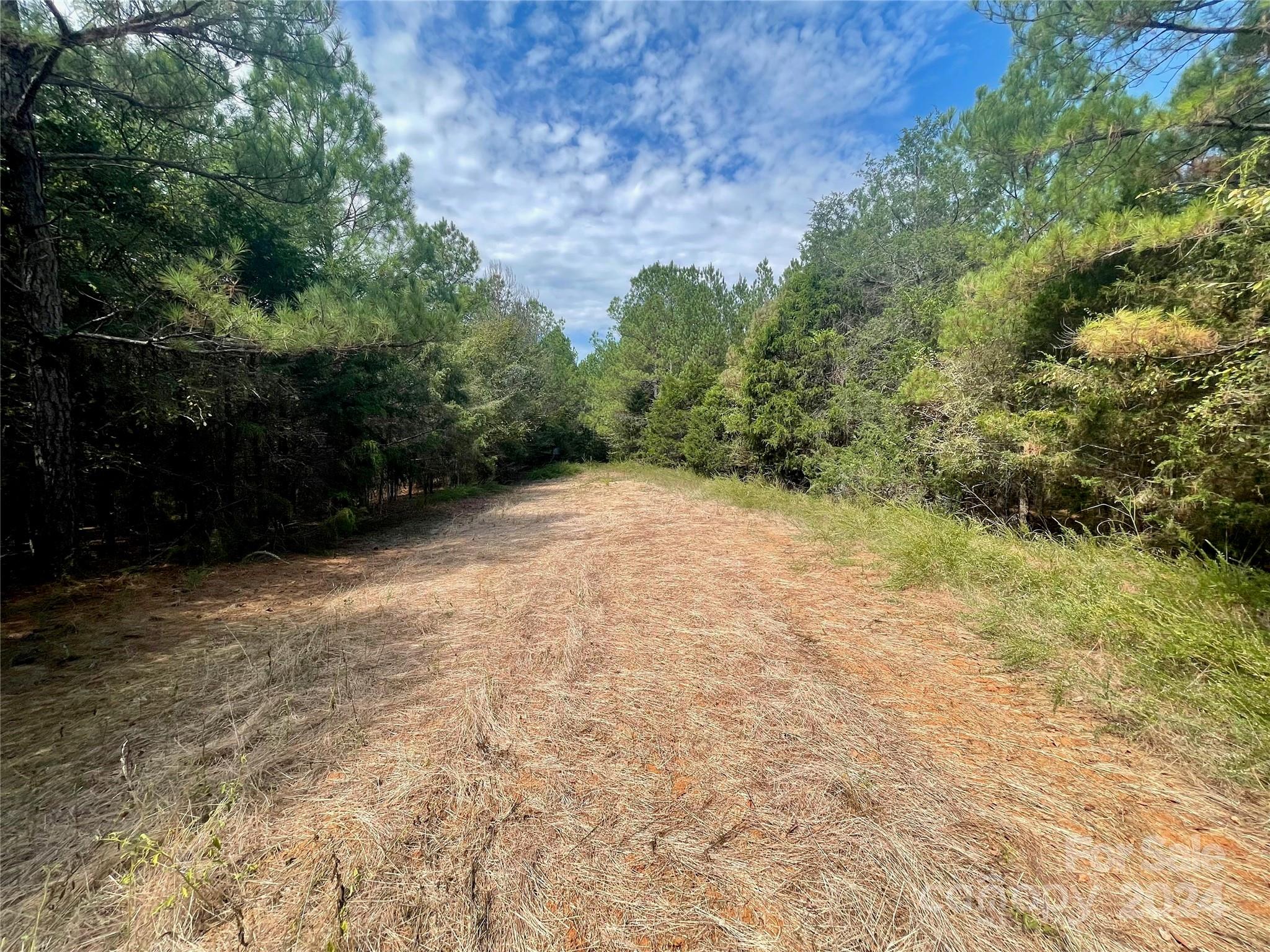0 Pilgrim Road Gaston, SC 29053 - Photo 16 of 28