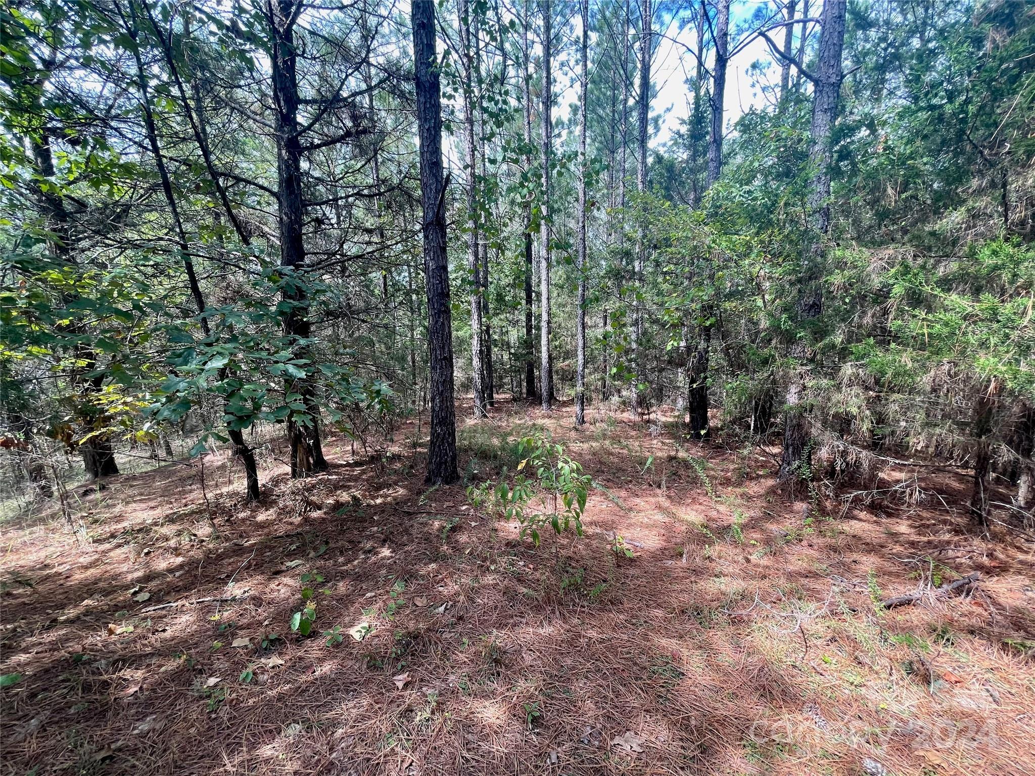 0 Pilgrim Road Gaston, SC 29053 - Photo 17 of 28