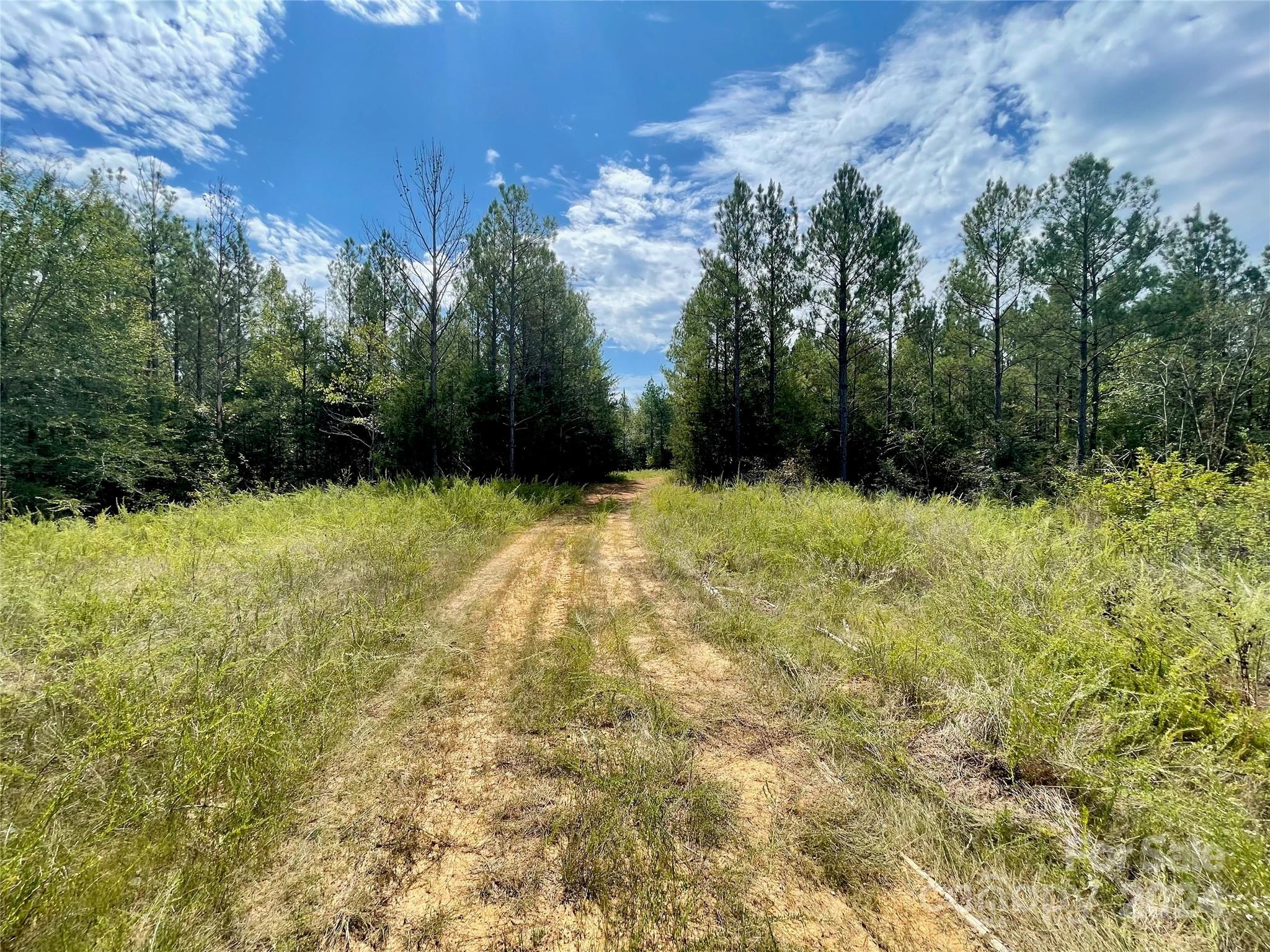 0 Pilgrim Road Gaston, SC 29053 - Photo 18 of 28