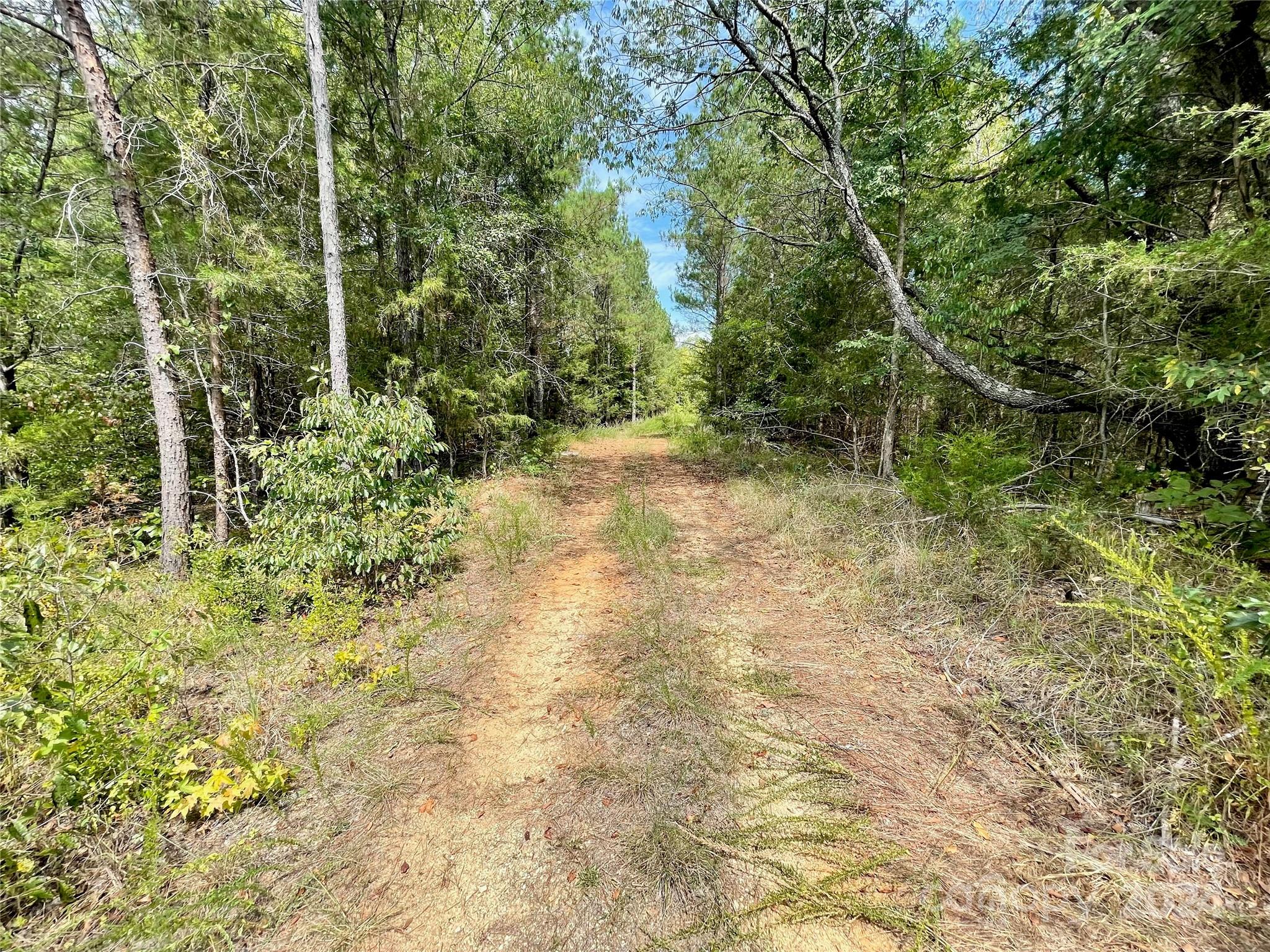 0 Pilgrim Road Gaston, SC 29053 - Photo 19 of 28
