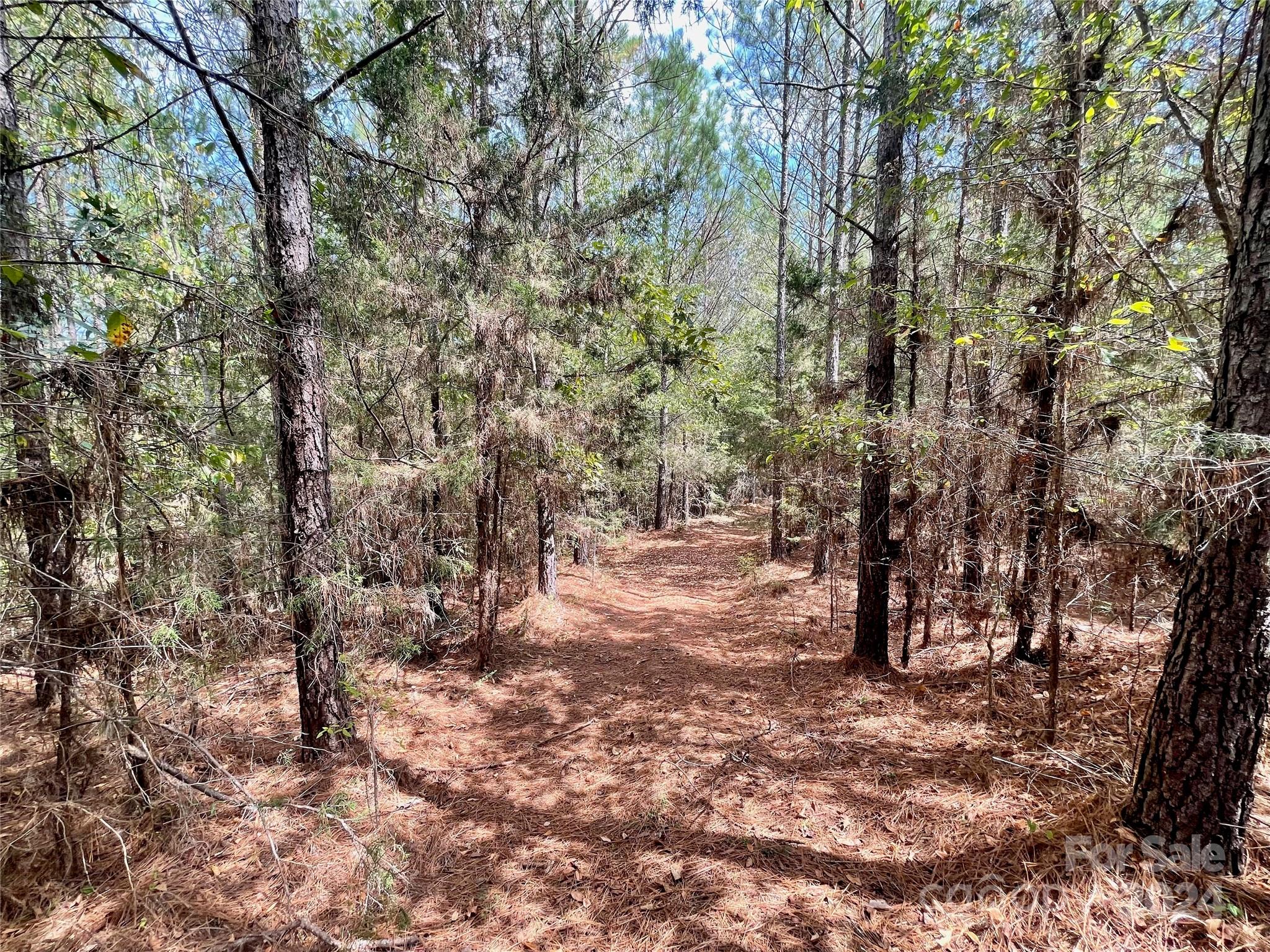 0 Pilgrim Road Gaston, SC 29053 - Photo 20 of 28