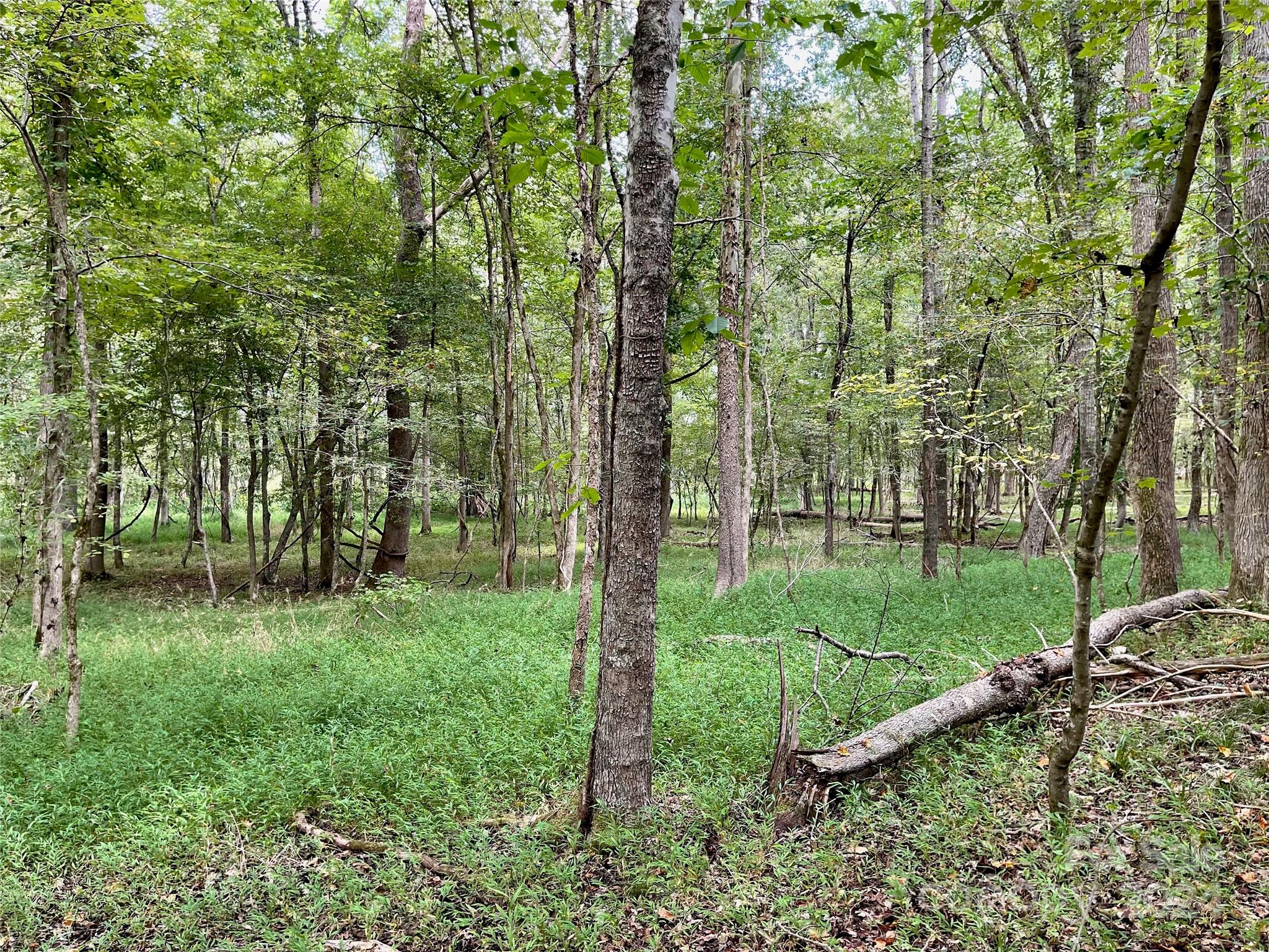 0 Pilgrim Road Gaston, SC 29053 - Photo 21 of 28