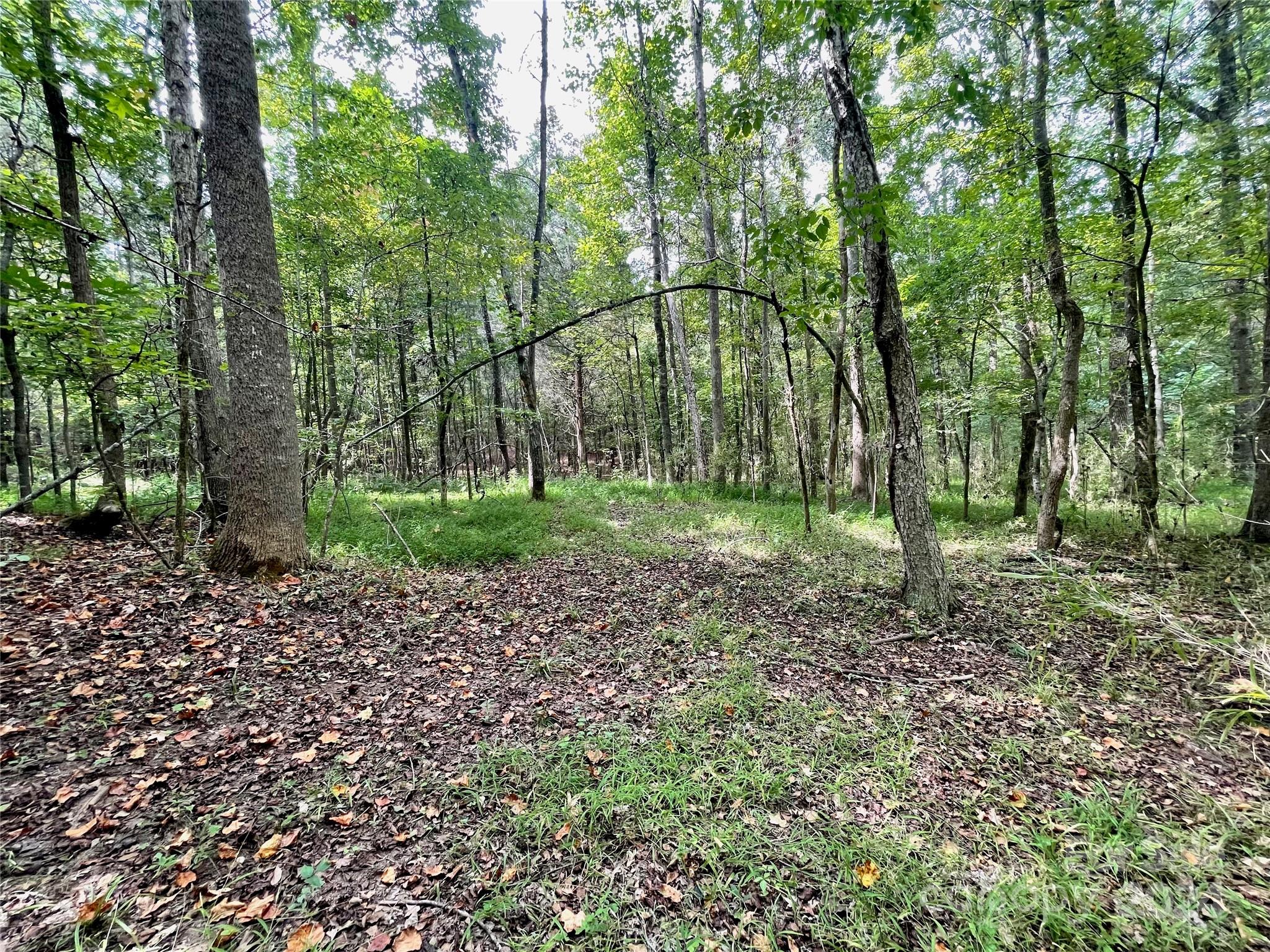 0 Pilgrim Road Gaston, SC 29053 - Photo 22 of 28