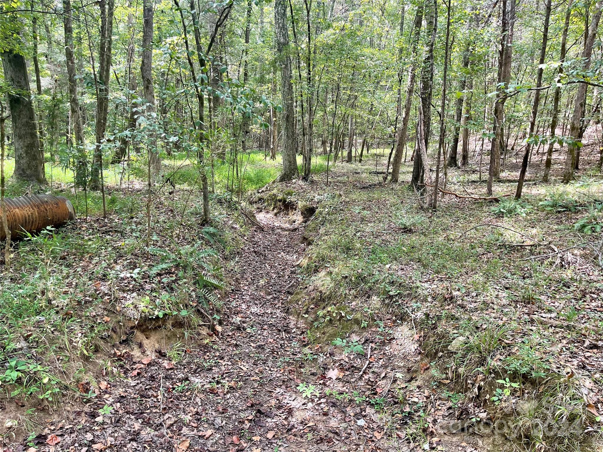 0 Pilgrim Road Gaston, SC 29053 - Photo 23 of 28