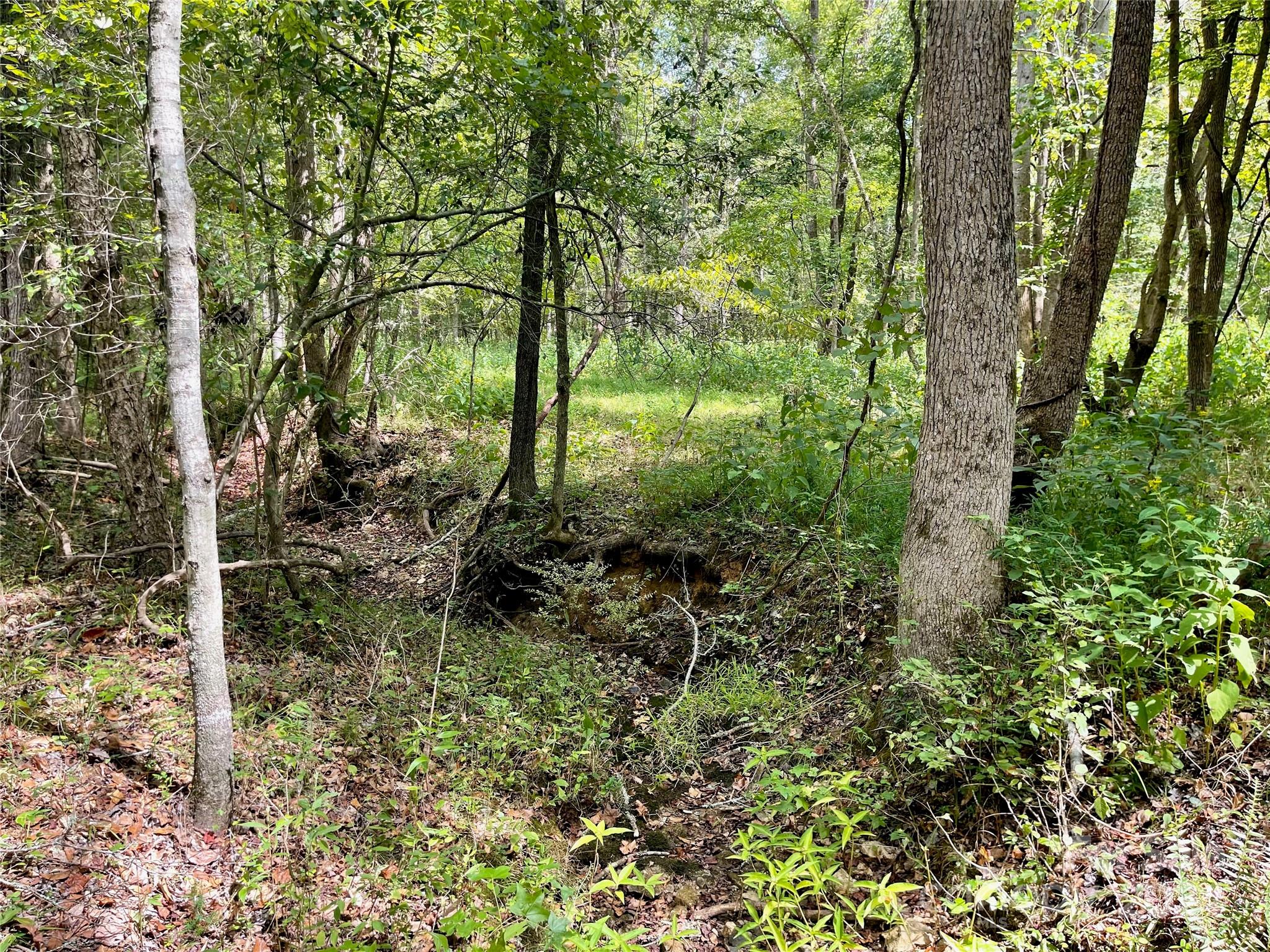 0 Pilgrim Road Gaston, SC 29053 - Photo 24 of 28