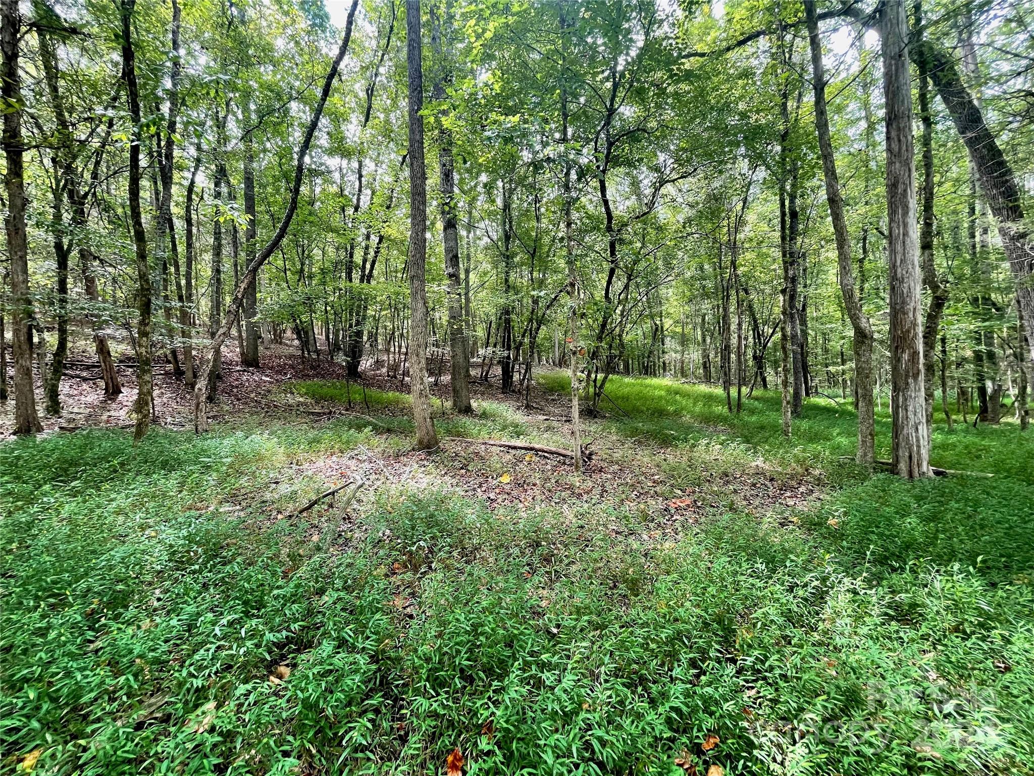 0 Pilgrim Road Gaston, SC 29053 - Photo 25 of 28