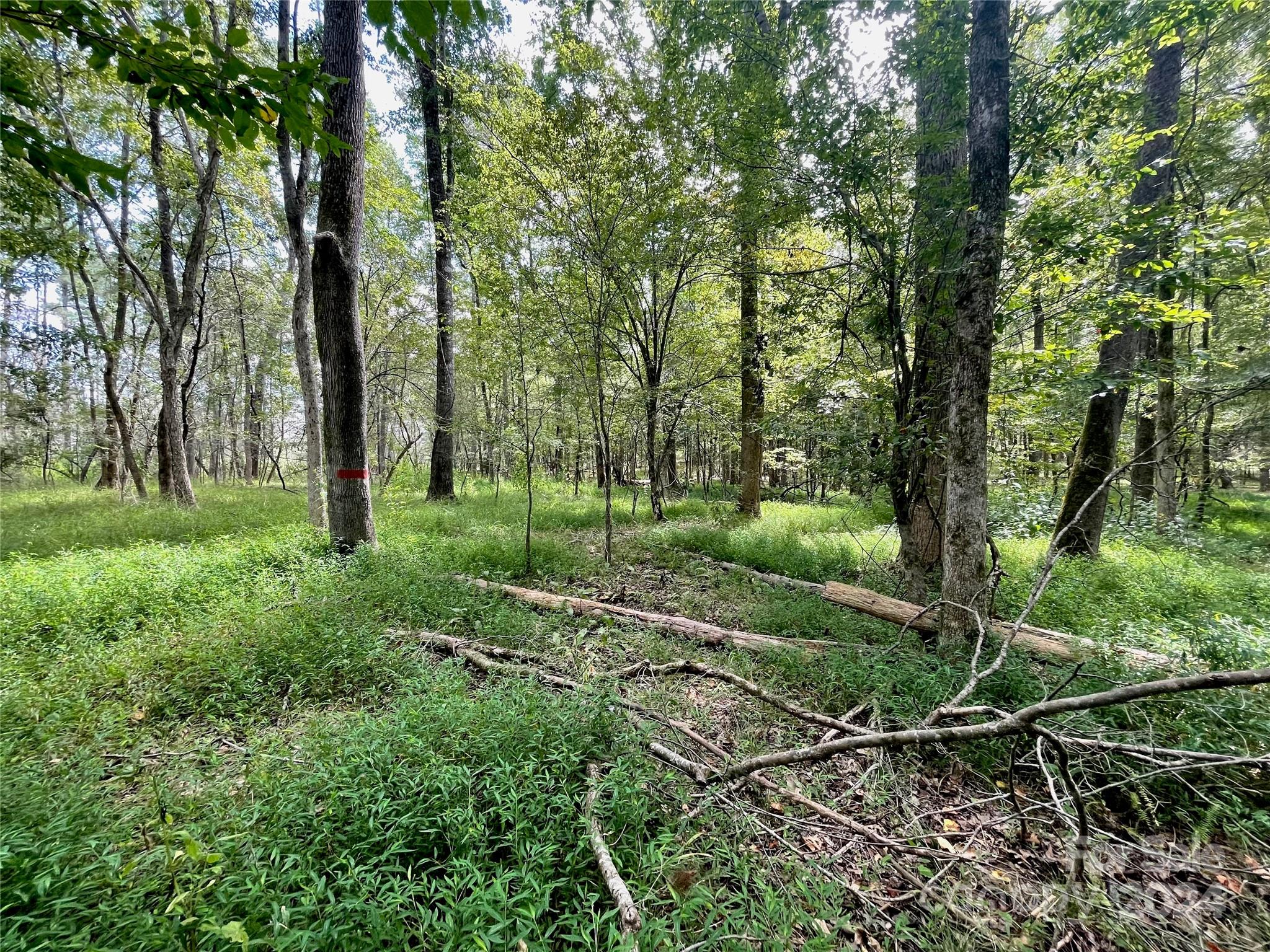 0 Pilgrim Road Gaston, SC 29053 - Photo 26 of 28
