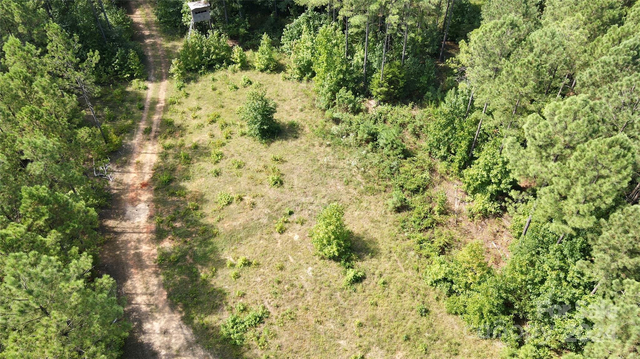 0 Pilgrim Road Gaston, SC 29053 - Photo 3 of 28