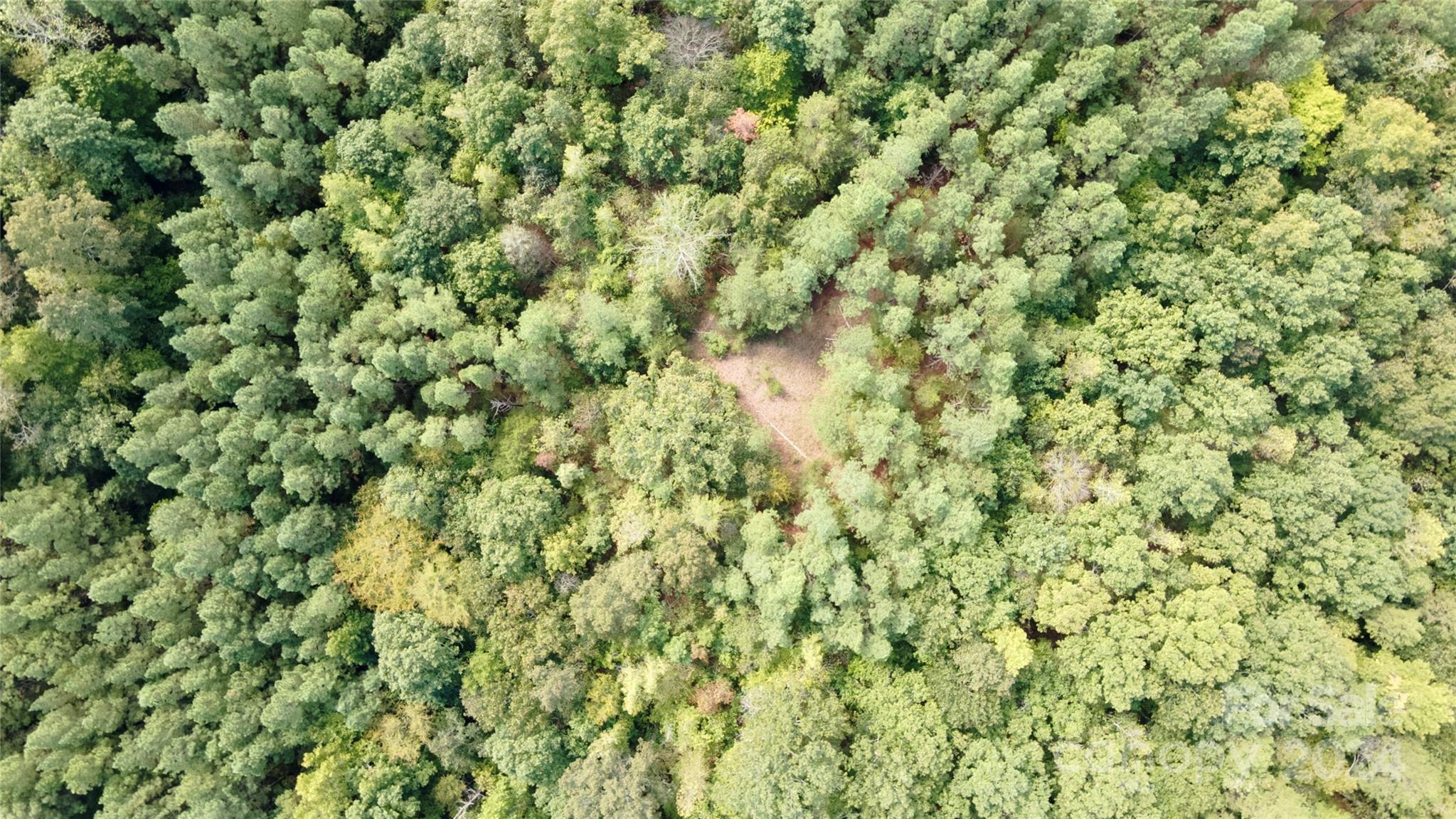 0 Pilgrim Road Gaston, SC 29053 - Photo 5 of 28