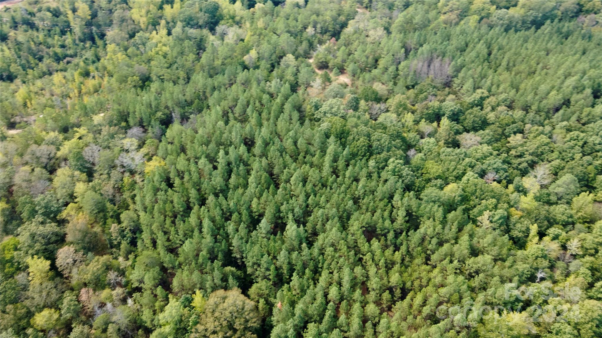 0 Pilgrim Road Gaston, SC 29053 - Photo 6 of 28