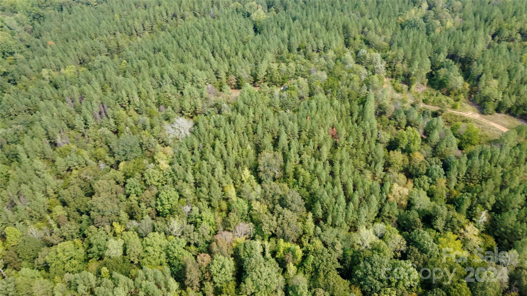 0 Pilgrim Road Gaston, SC 29053 - Photo 7 of 28