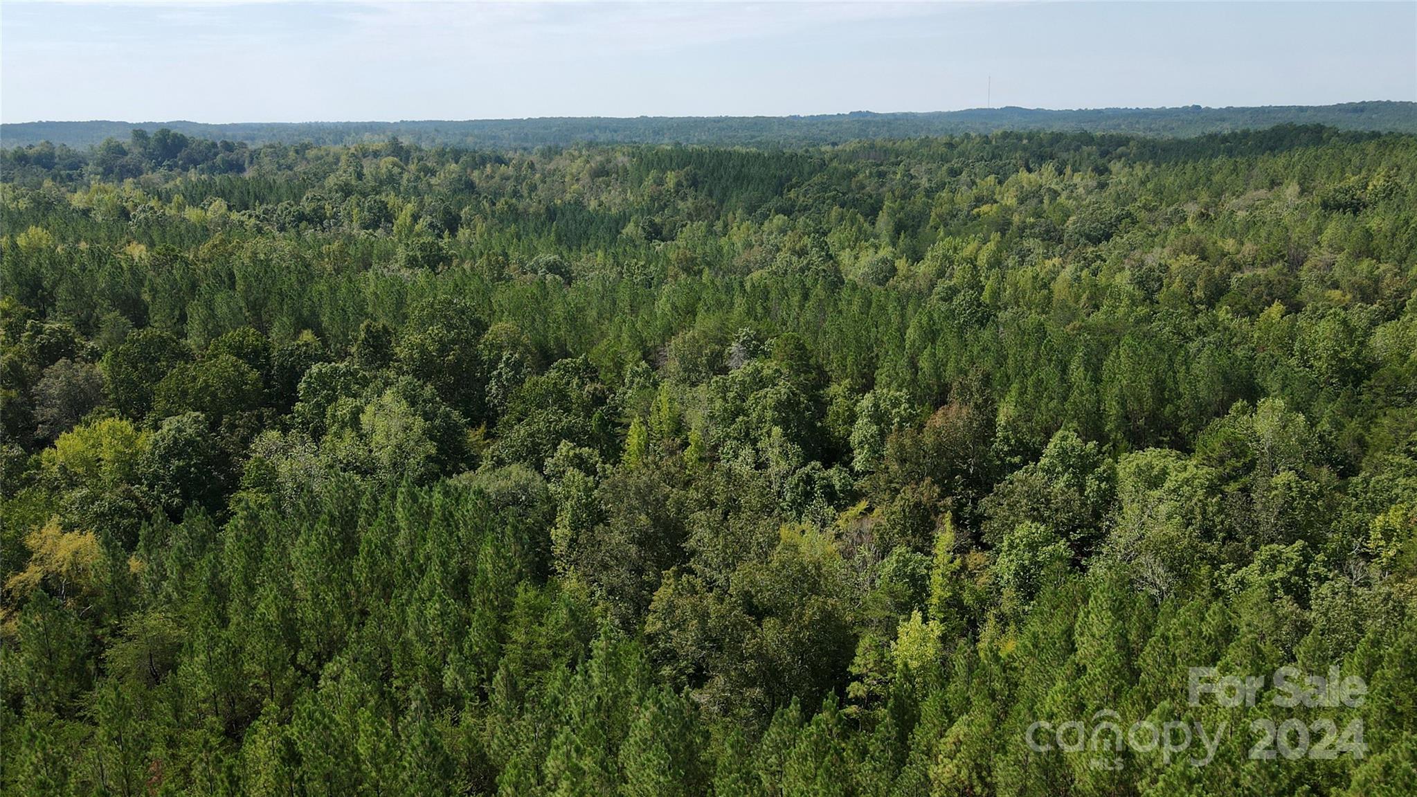 0 Pilgrim Road Gaston, SC 29053 - Photo 8 of 28