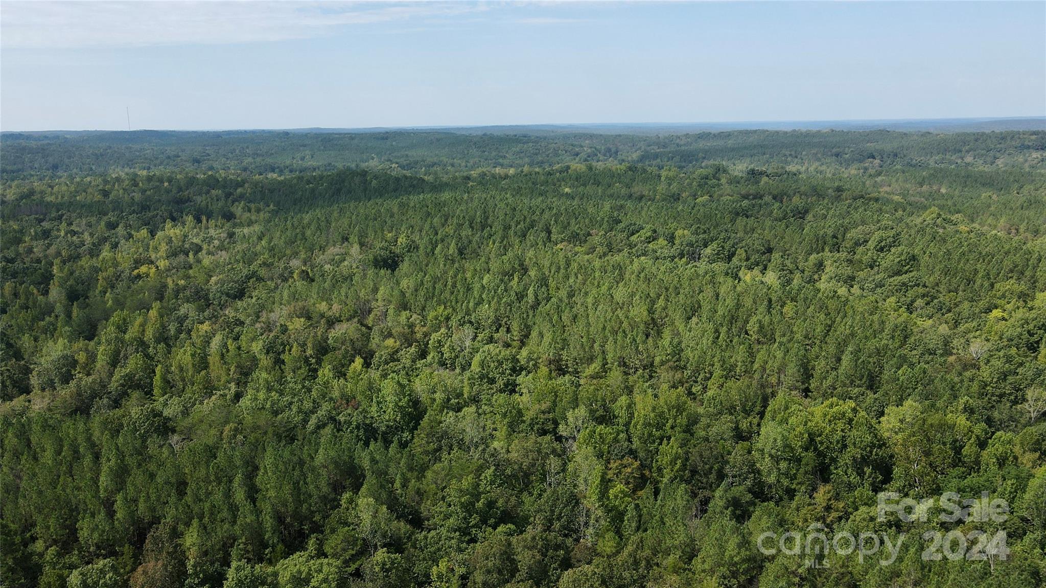 0 Pilgrim Road Gaston, SC 29053 - Photo 9 of 28