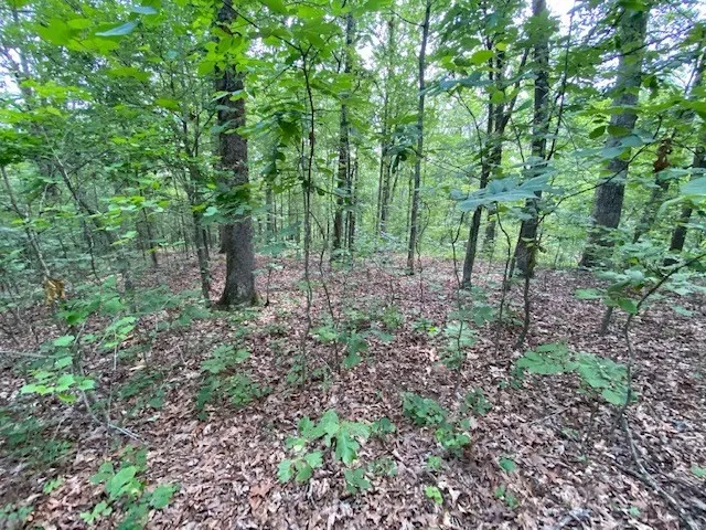 $10,000 | 0 Eagle Nest Lane, Big Sandy, TN 38221