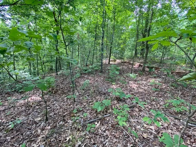 $10,000 | 0 Eagle Nest Lane, Big Sandy, TN 38221